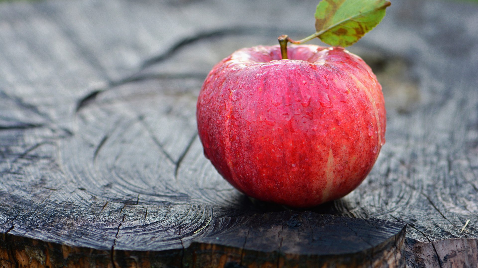 Обои макро, яблоко, пень, macro, apple, stump разрешение 2048x1365 Загрузить