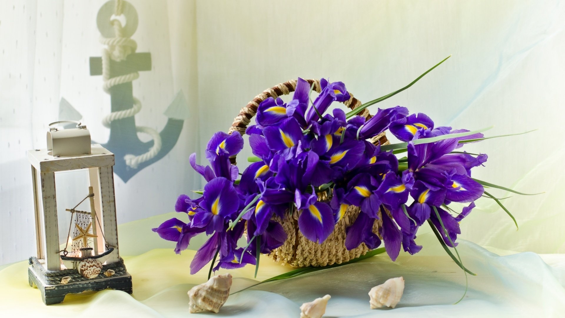 Обои ракушки, корзинка, ирисы, якорь, shell, basket, irises, anchor разрешение 1920x1263 Загрузить