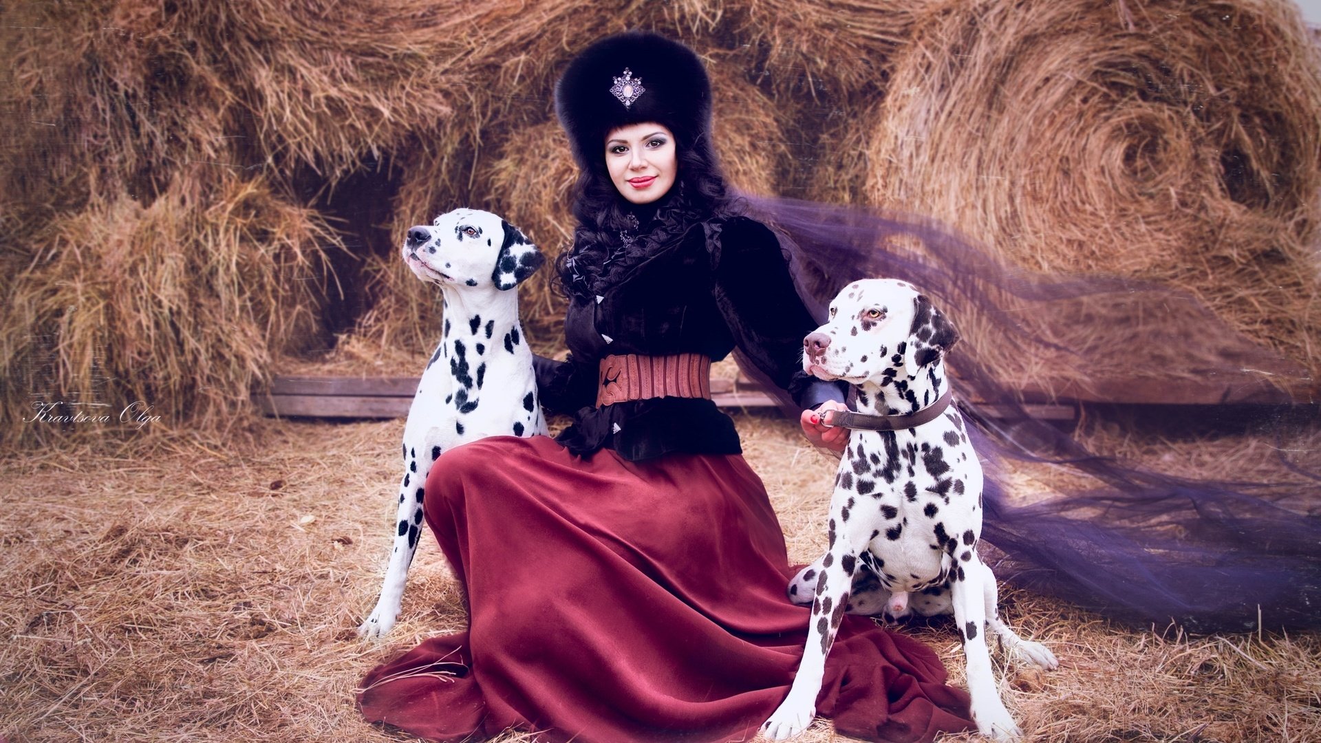 Обои девушка, брюнетка, сено, шапка, собаки, вуаль, далматины, girl, brunette, hay, hat, dogs, veil, dalmatians разрешение 2400x1600 Загрузить