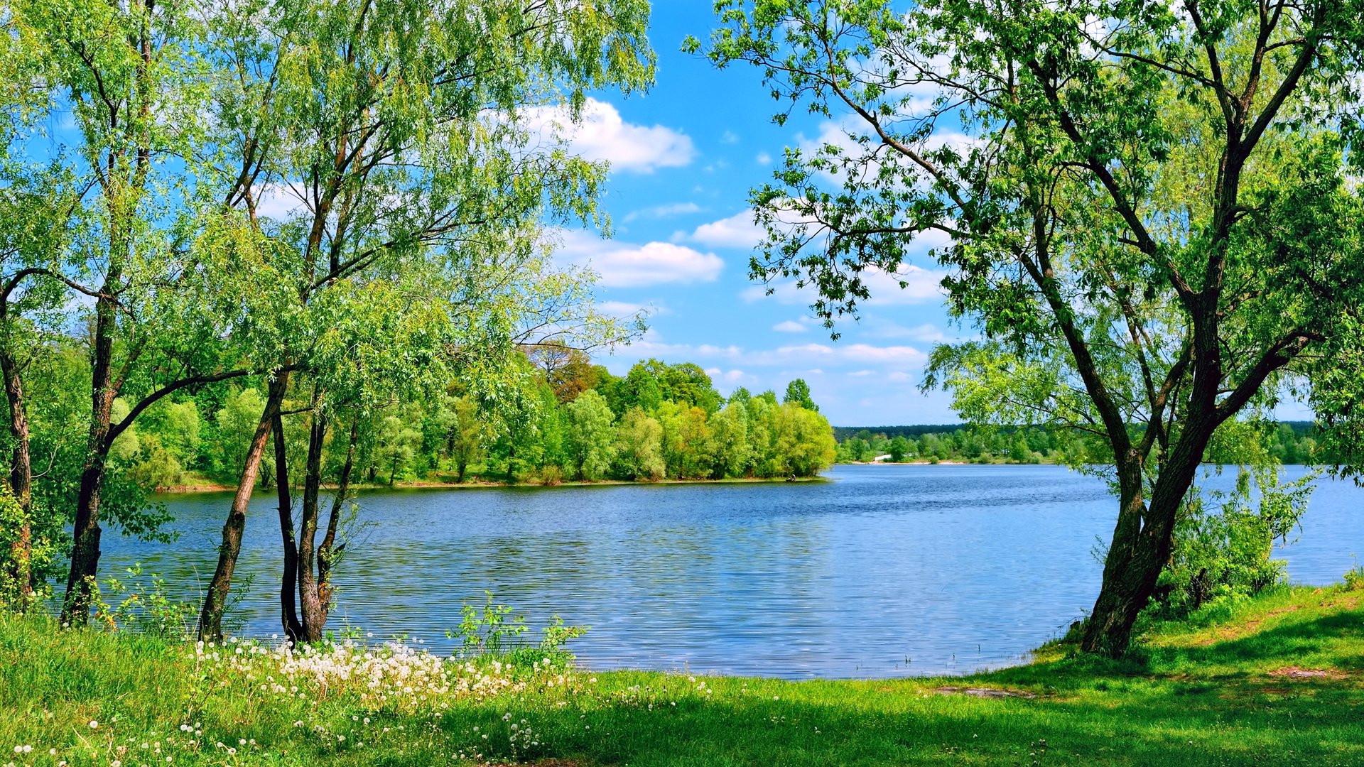 Обои небо, деревья, озеро, природа, лето, the sky, trees, lake, nature, summer разрешение 2400x1600 Загрузить