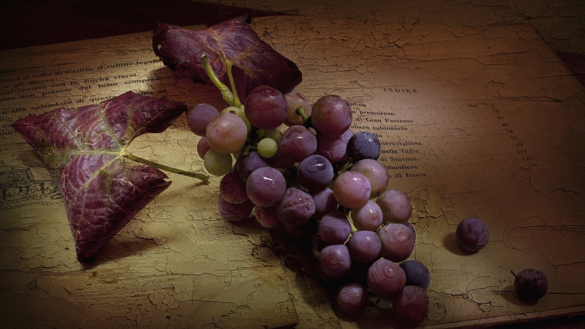Обои текстура, виноград, винтаж, ягоды, книга, гроздь, texture, grapes, vintage, berries, book, bunch разрешение 1920x1280 Загрузить