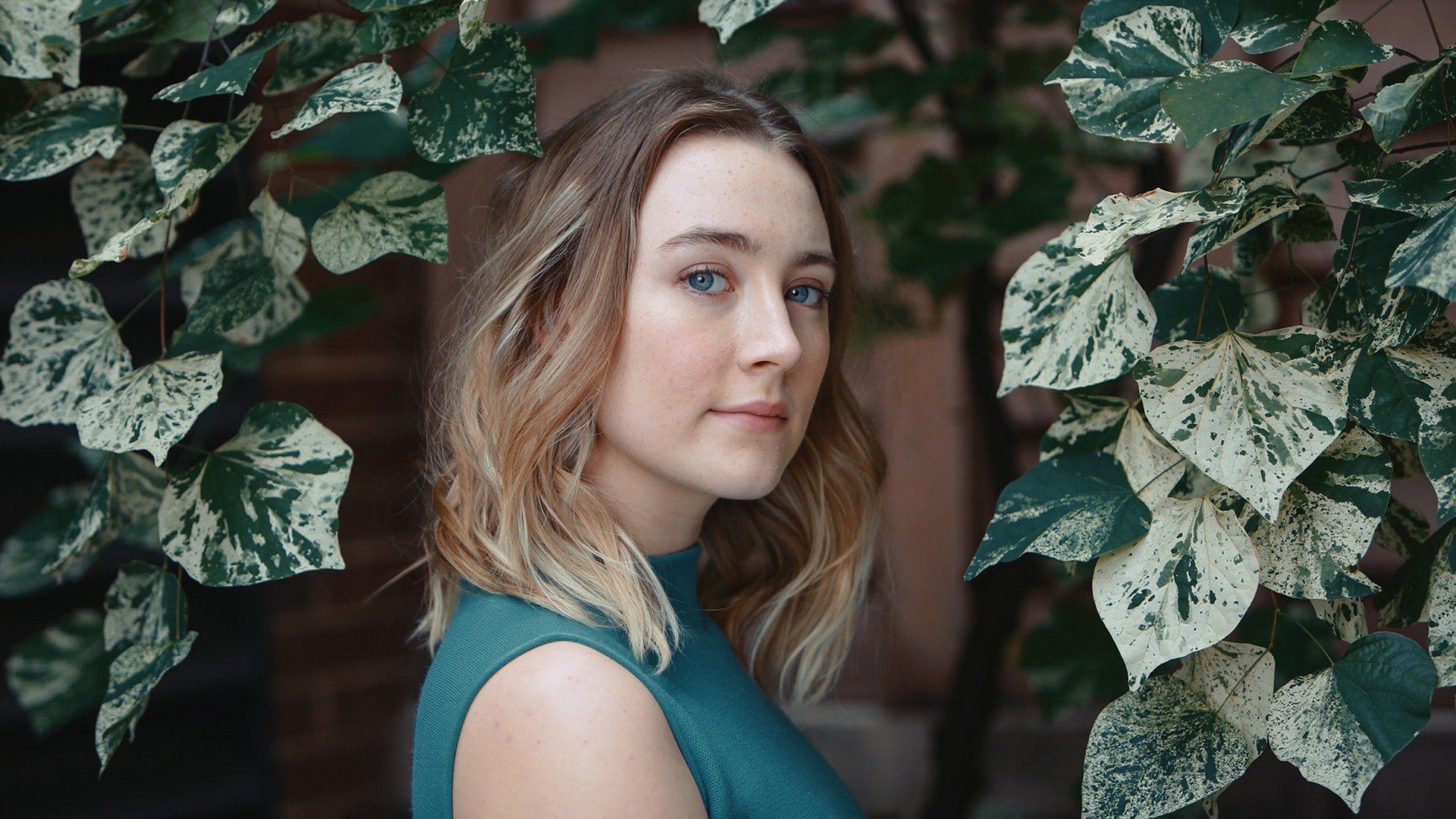 Обои листья, взгляд, актриса, сирша ронан, leaves, look, actress, saoirse ronan разрешение 2048x1152 Загрузить