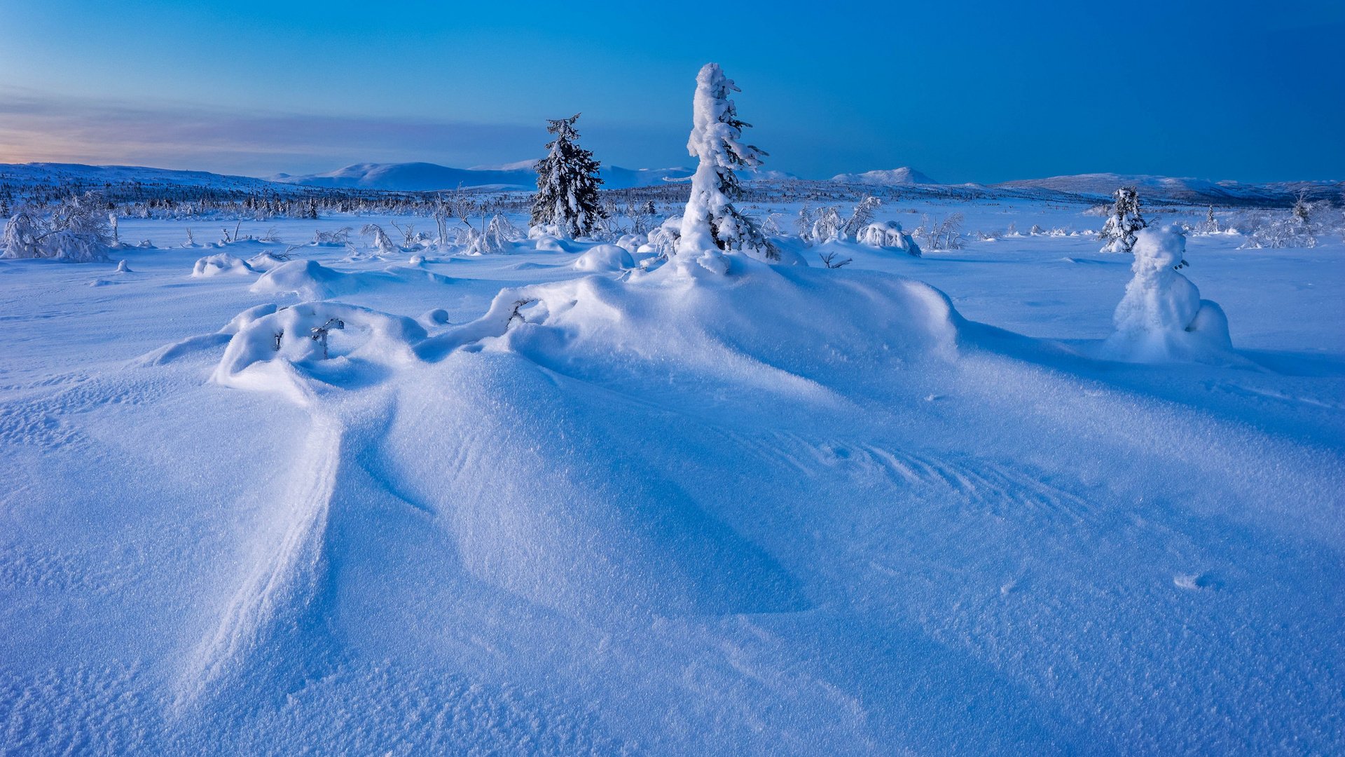 Обои деревья, снег, зима, швеция, сугробы, швеции, лапландия, gitsfjallets nature reserve, trees, snow, winter, sweden, the snow, lapland разрешение 2048x1365 Загрузить