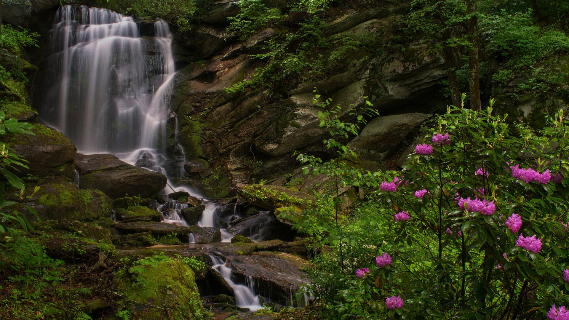 Обои скалы, водопад, куст, рододендроны, северная каролина, seven falls, этова, rocks, waterfall, bush, rhododendrons, north carolina, etowah разрешение 2048x1352 Загрузить