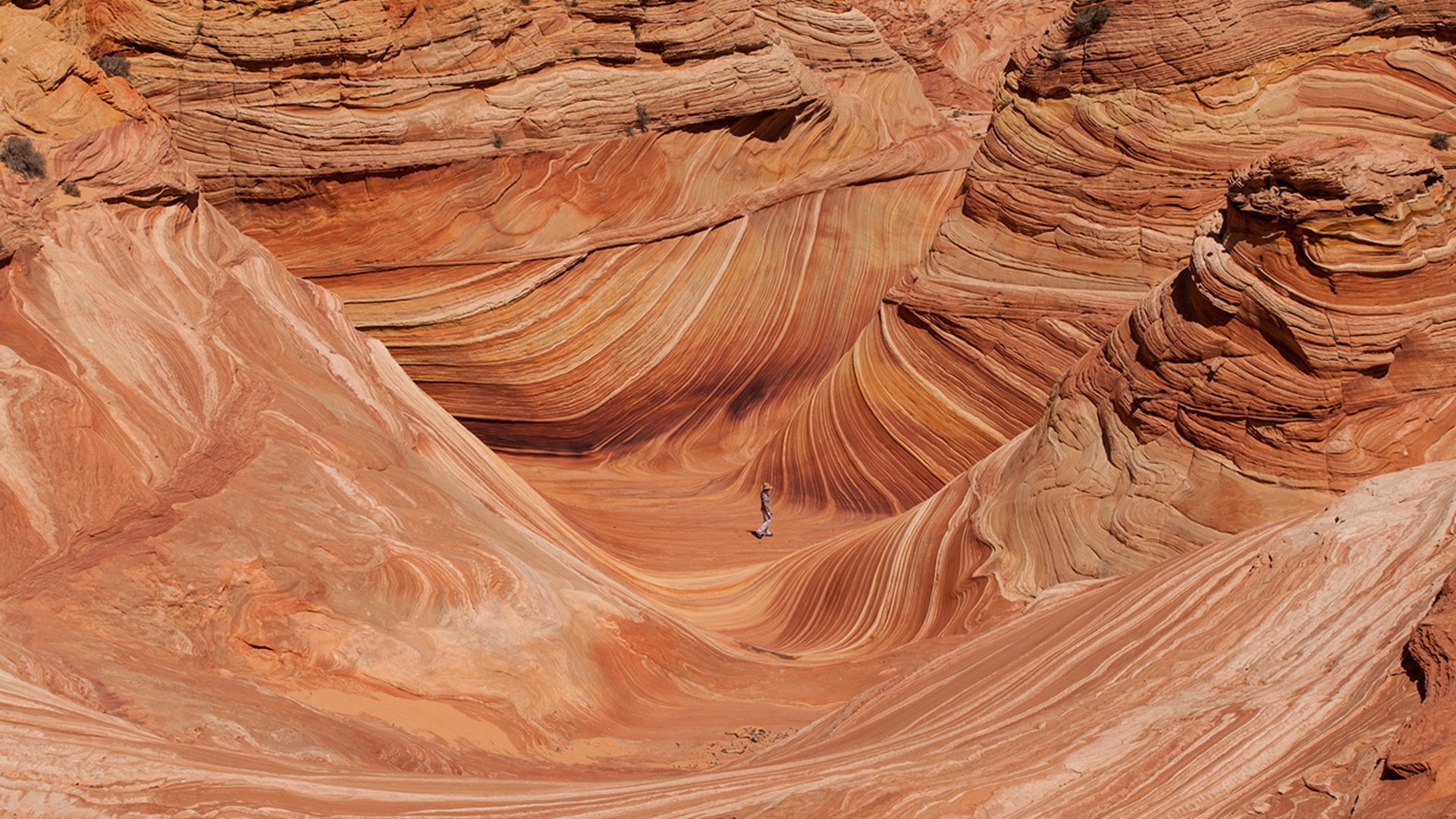 Обои каньон, сша, юта, национальный парк, койот баттс, canyon, usa, utah, national park, coyote butts разрешение 1920x1280 Загрузить