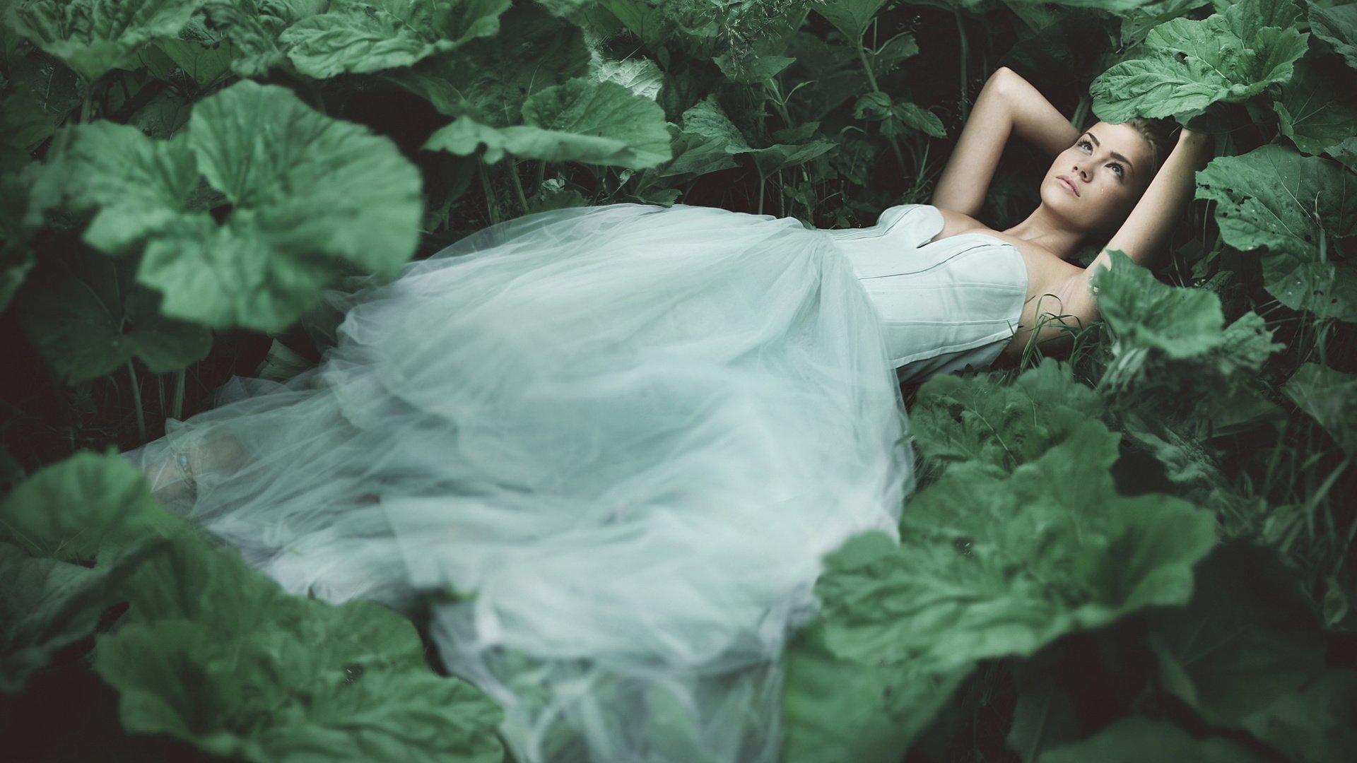 Обои растения, лес, листья, девушка, платье, лежит, принцесса, plants, forest, leaves, girl, dress, lies, princess разрешение 2048x1152 Загрузить