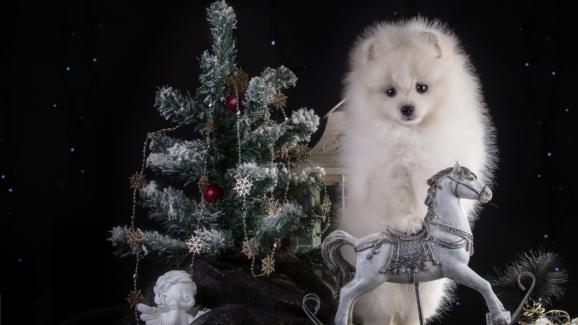 Обои новый год, белый, щенок, ангел, ель, праздник, конь, шпиц, new year, white, puppy, angel, spruce, holiday, horse, spitz разрешение 3300x2105 Загрузить