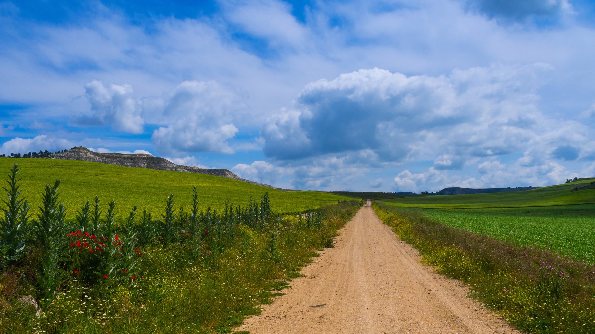 Обои дорога, цветы, трава, горы, природа, испания, кастилья, road, flowers, grass, mountains, nature, spain, castilla разрешение 4607x3126 Загрузить