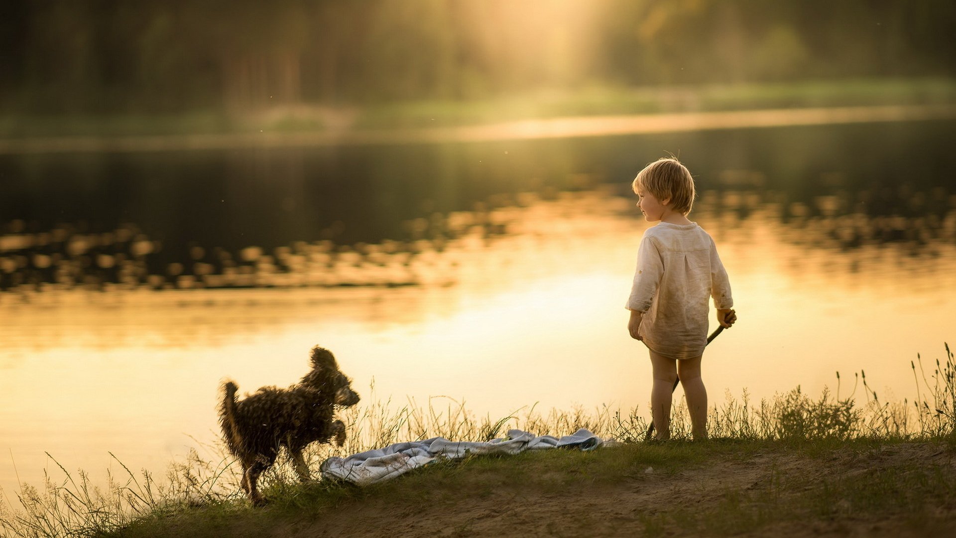 Обои озеро, утро, собака, мальчик, берег реки, lake, morning, dog, boy, the river разрешение 1920x1279 Загрузить