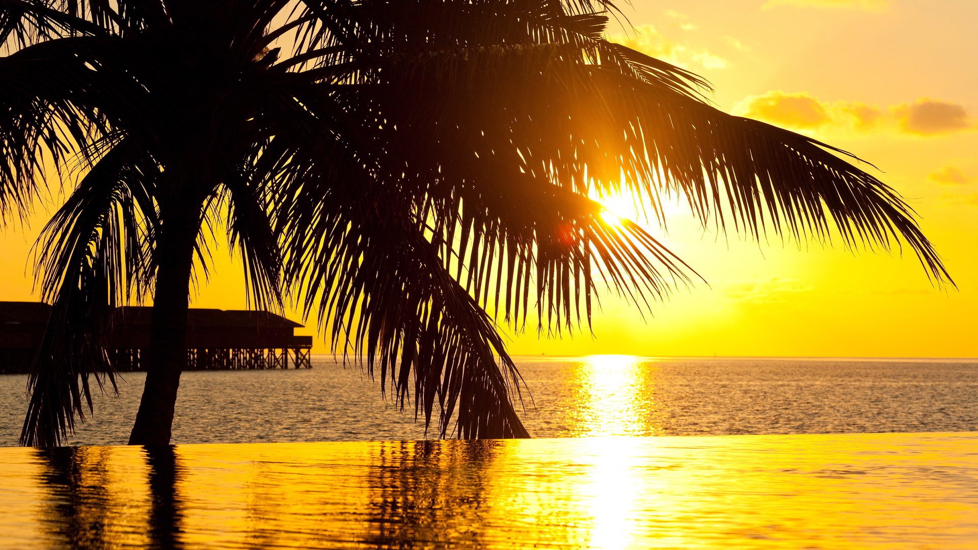 Обои закат, бассейн, океан, пальма, курорт, sunset, pool, the ocean, palma, resort разрешение 3840x2160 Загрузить