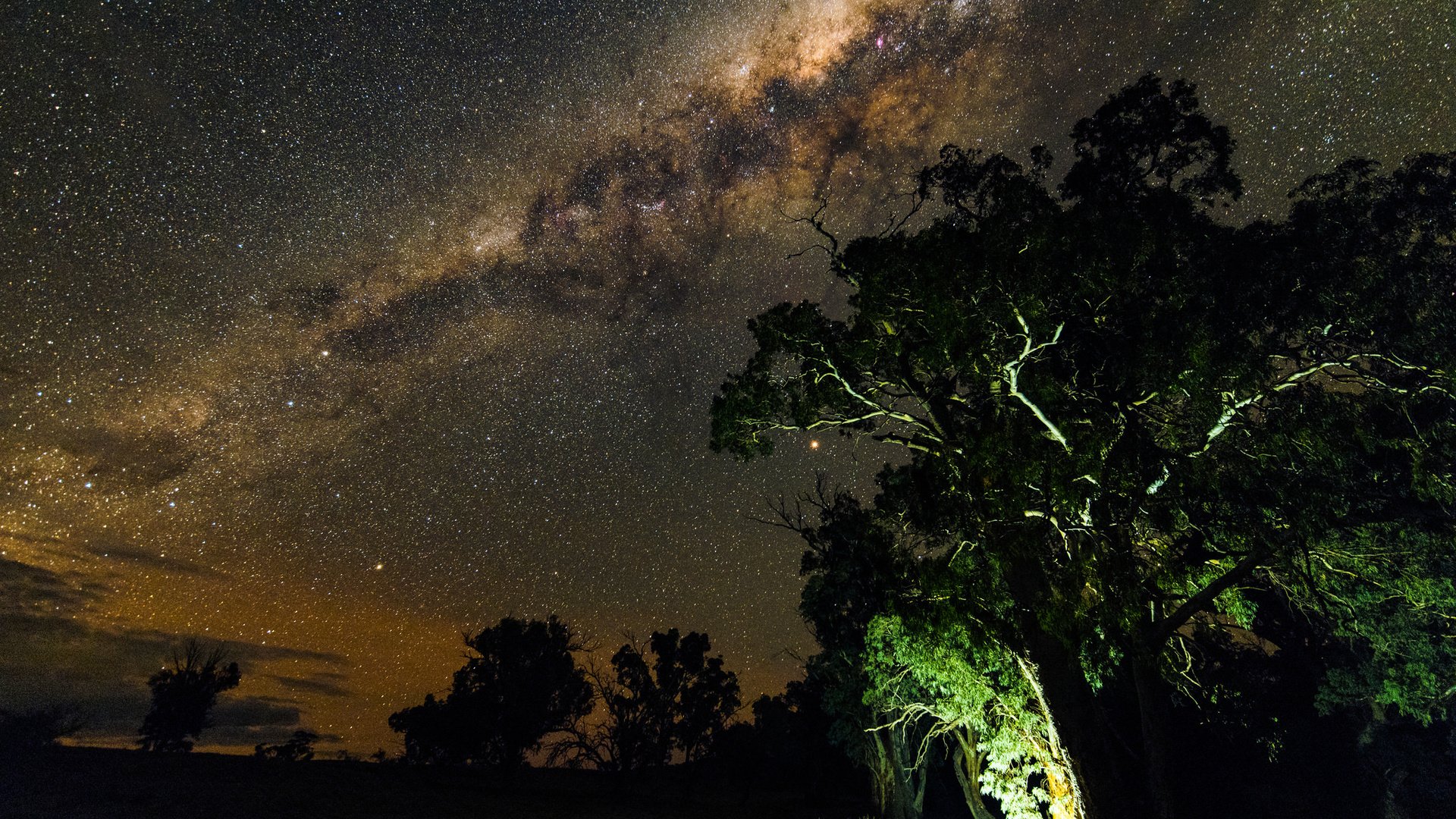 Обои ночь, деревья, природа, звезды, млечный путь, night, trees, nature, stars, the milky way разрешение 2048x1367 Загрузить