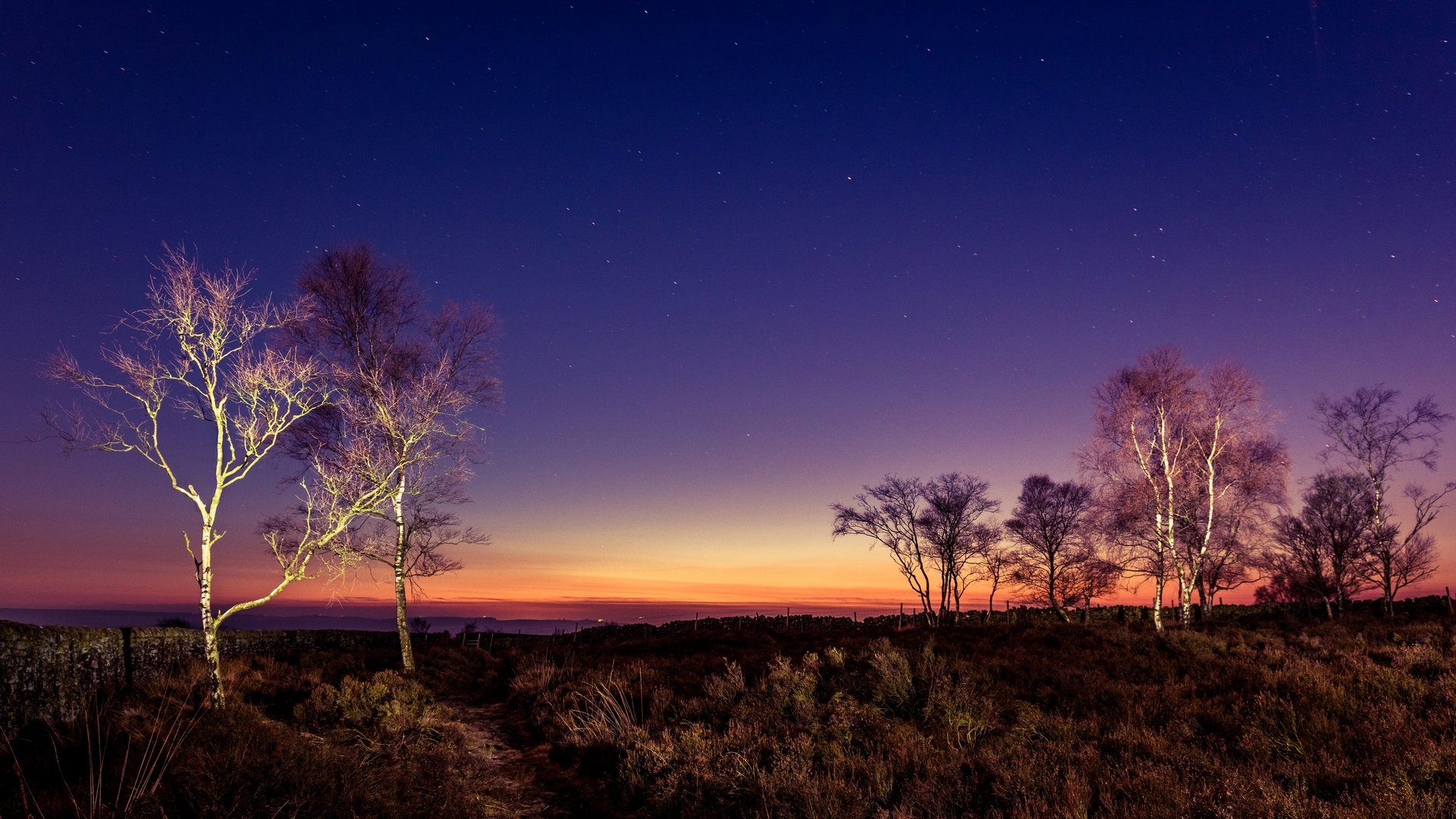 Обои небо, деревья, вечер, закат, великобритания, peak district, the sky, trees, the evening, sunset, uk разрешение 2880x1728 Загрузить