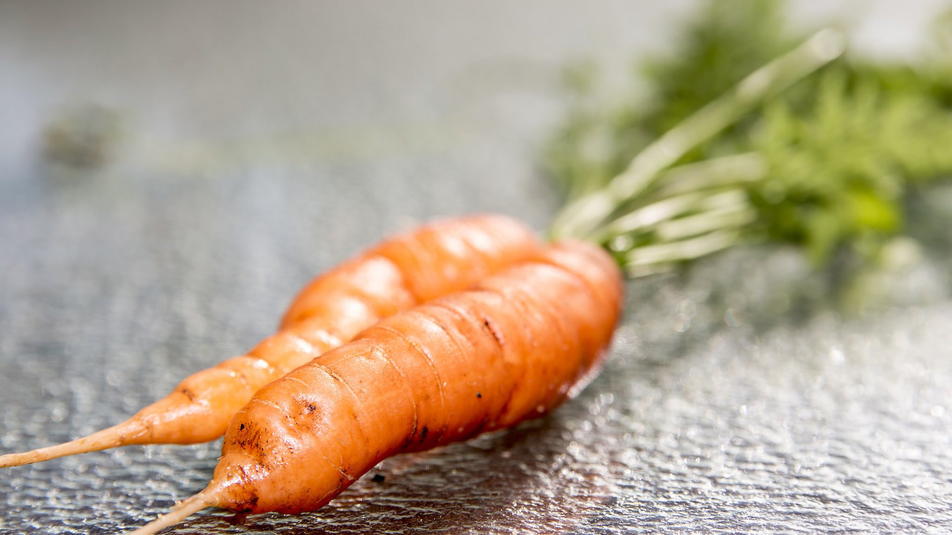 Обои макро, овощи, морковь, macro, vegetables, carrots разрешение 2048x1365 Загрузить