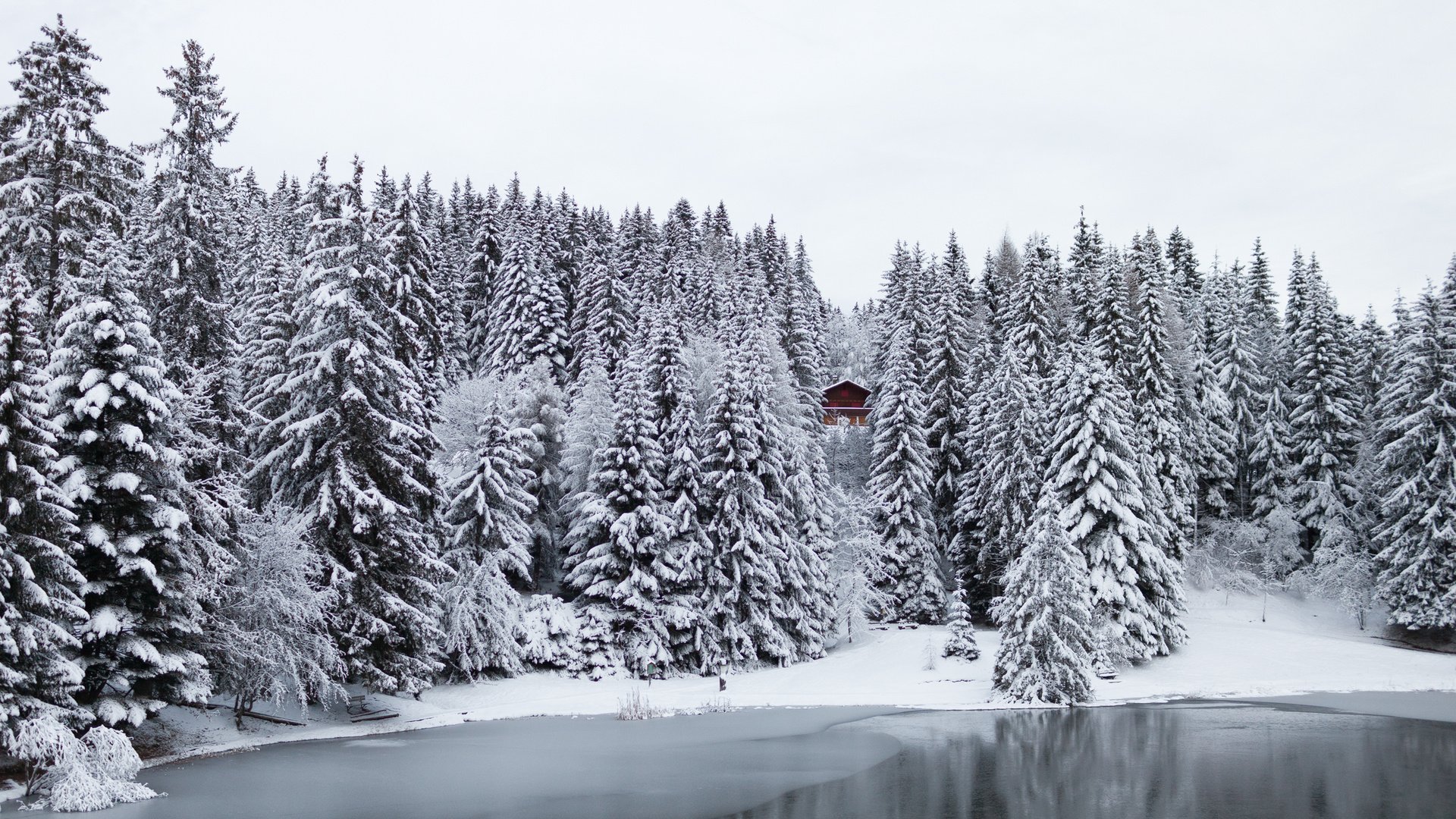 Обои деревья, озеро, снег, лес, зима, швейцария, домик, trees, lake, snow, forest, winter, switzerland, house разрешение 2560x1600 Загрузить