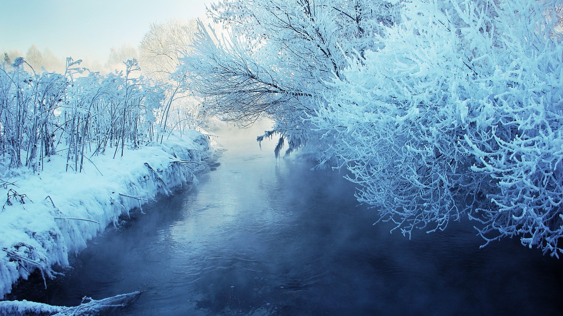 Обои снег, зима, snow, winter разрешение 1920x1200 Загрузить