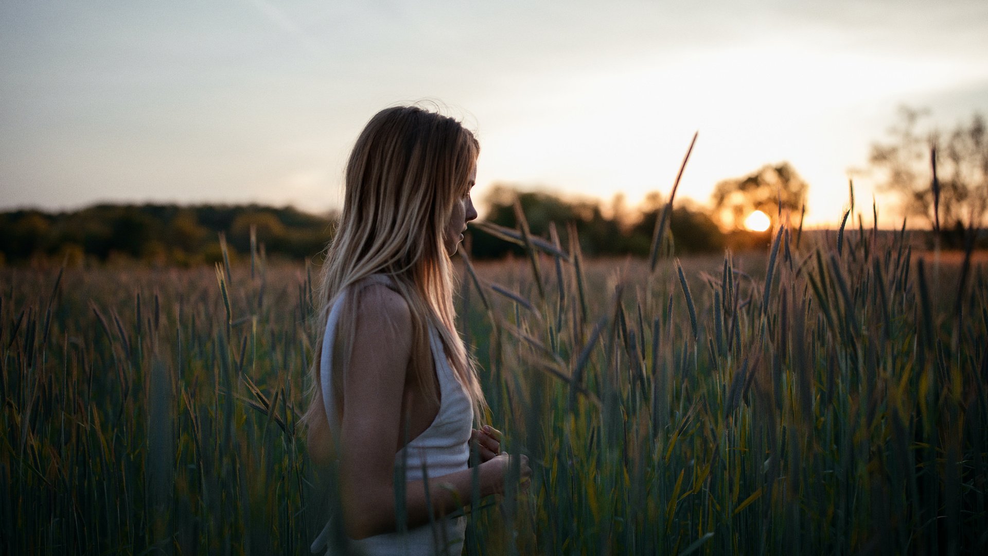 Обои девушка, поле, рассвет, лицо, прогулка, brittney, girl, field, dawn, face, walk разрешение 2048x1385 Загрузить