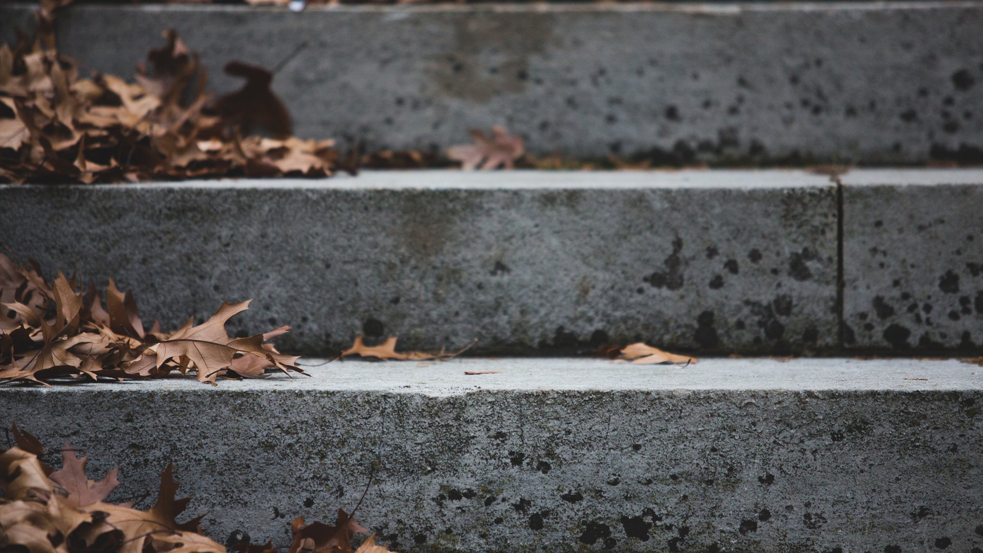 Обои природа, листья, лестница, ступеньки, осень, сухие, nature, leaves, ladder, steps, autumn, dry разрешение 2048x1365 Загрузить