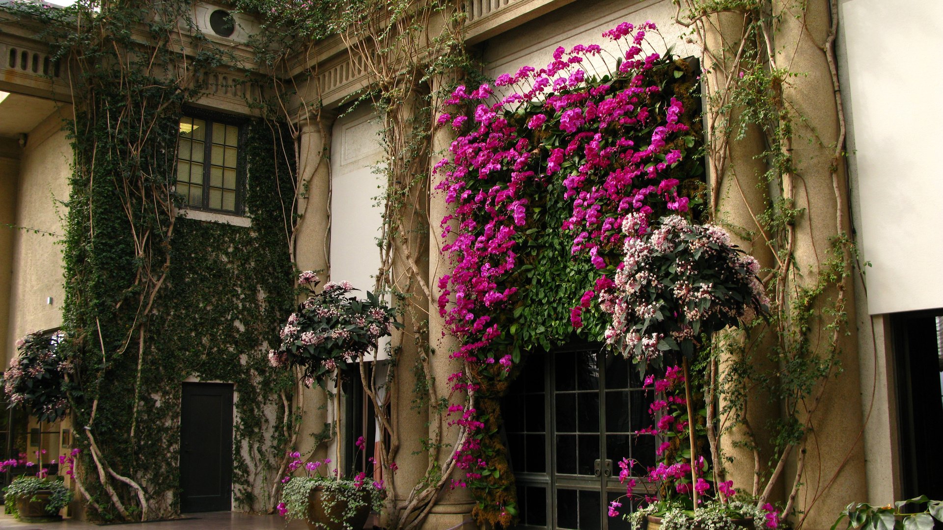 Обои цветы, сад, арка,  цветы, flowers, garden, arch разрешение 3400x2550 Загрузить