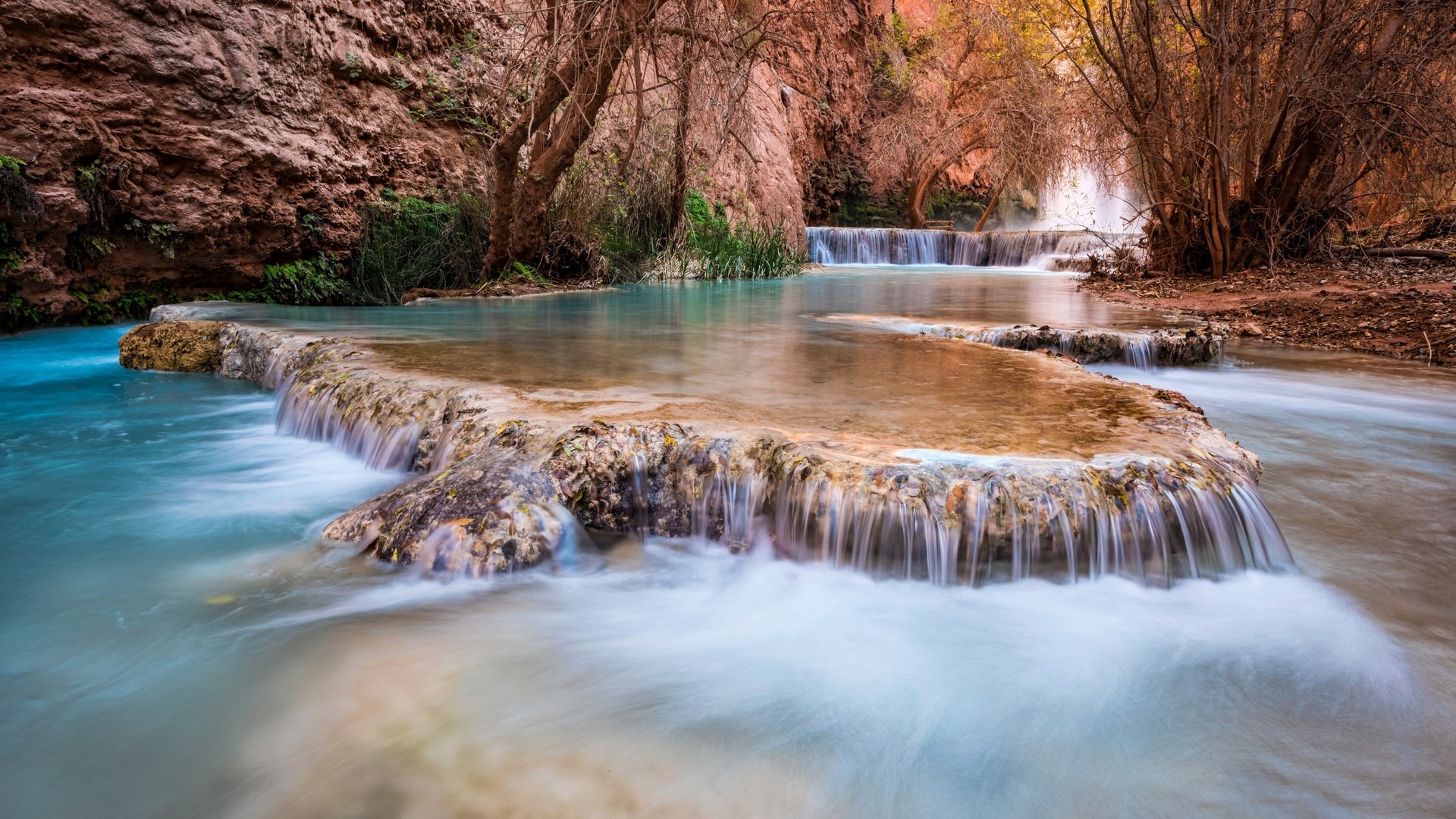 Обои деревья, grand canyon, каскад, река, штат аризона, скалы, havasupai, природа, michael wilson, ручей, водопад, каньон, сша, trees, cascade, river, arizona, rocks, nature, stream, waterfall, canyon, usa разрешение 2880x1923 Загрузить