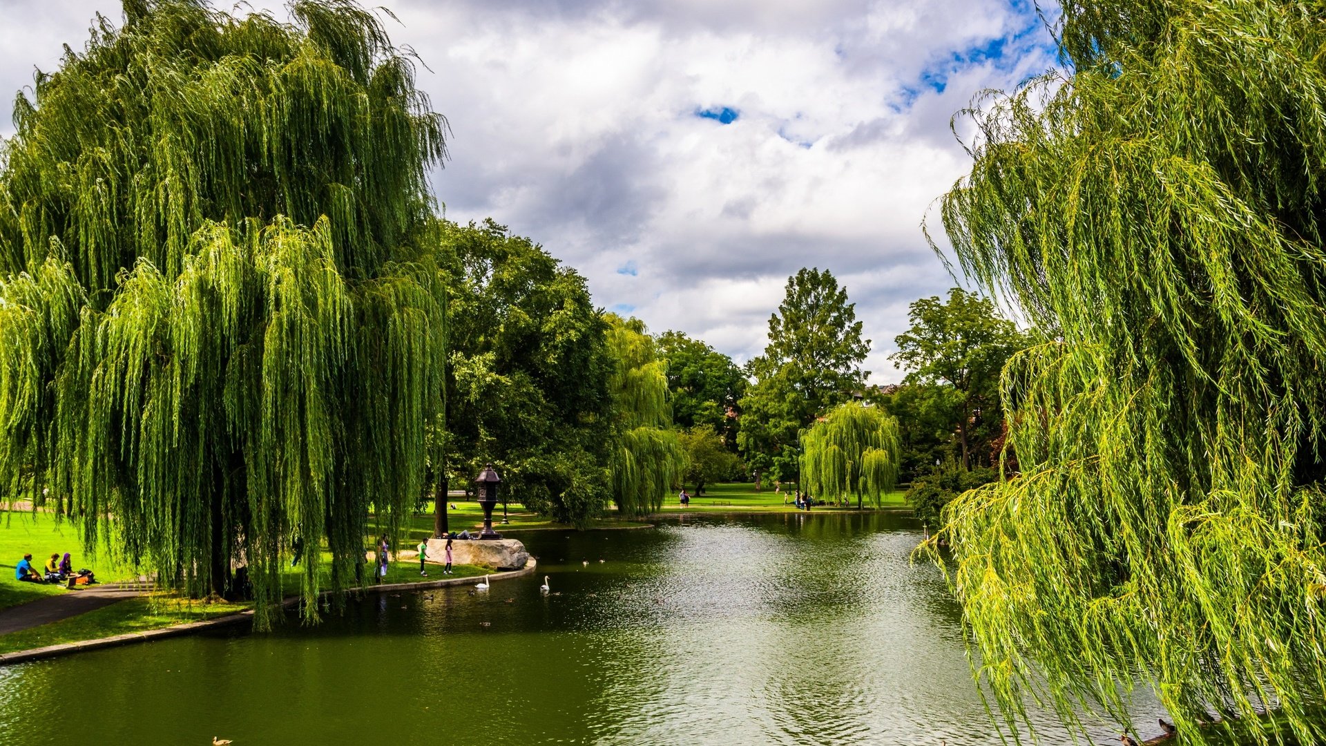 Обои деревья, зелень, парк, сша, пруд, бостон, массачусетс, trees, greens, park, usa, pond, boston, massachusetts разрешение 2880x1953 Загрузить