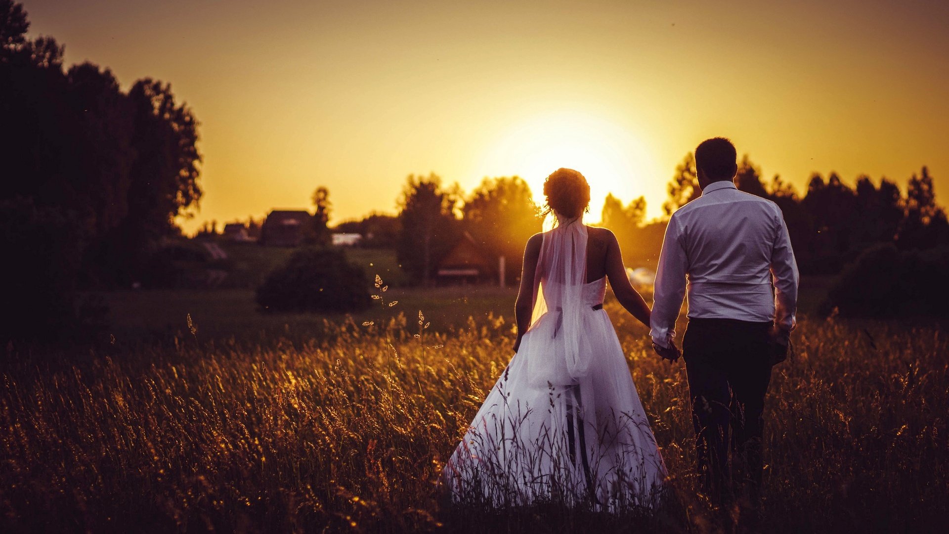 Обои закат, поле, жених, свадьба, невеста, sunset, field, the groom, wedding, the bride разрешение 2880x1920 Загрузить