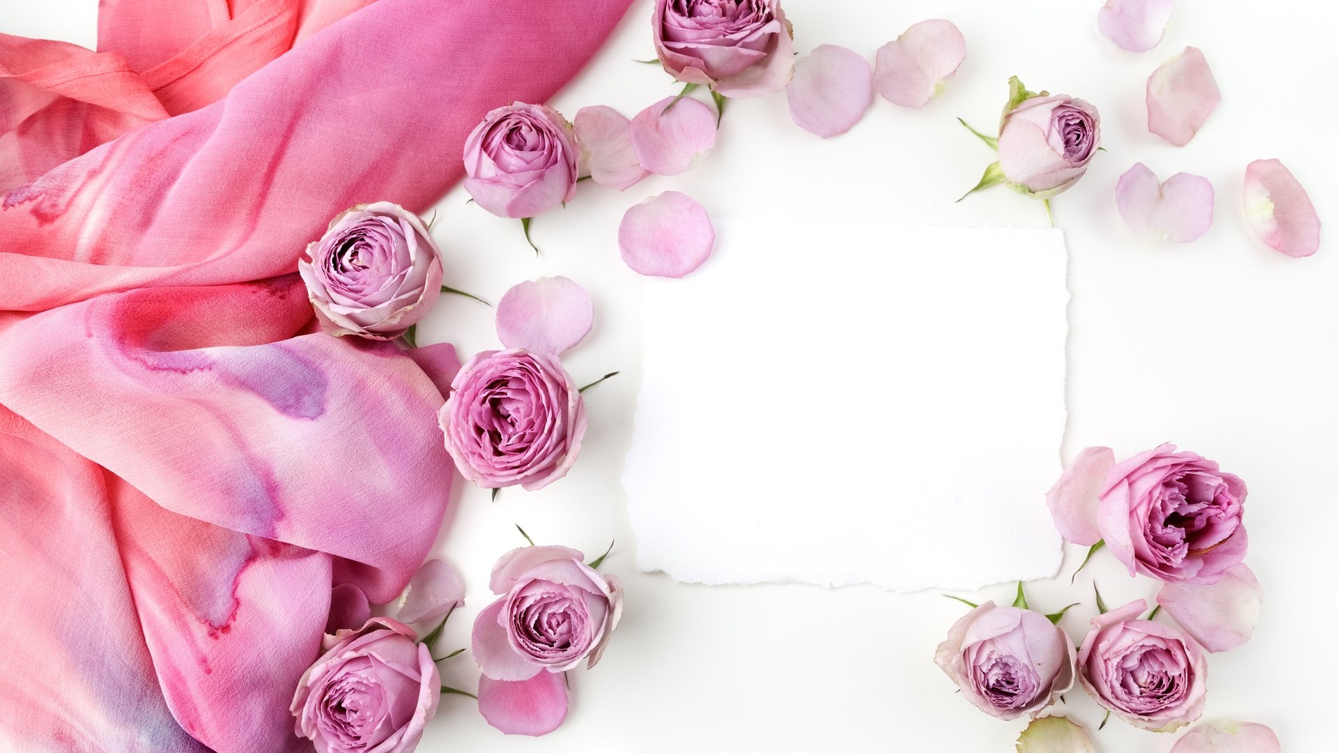 Обои бутоны, розы, романтик,  цветы, роз, пинк, buds, roses, romantic, flowers, pink разрешение 5616x3744 Загрузить
