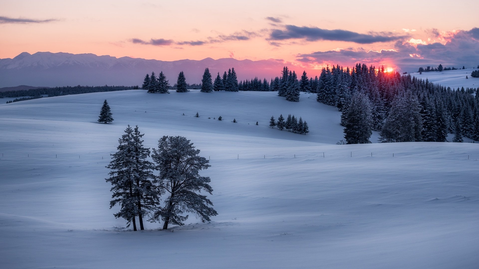 Обои солнце, закат, зима, winter sunset, the sun, sunset, winter разрешение 2048x1367 Загрузить