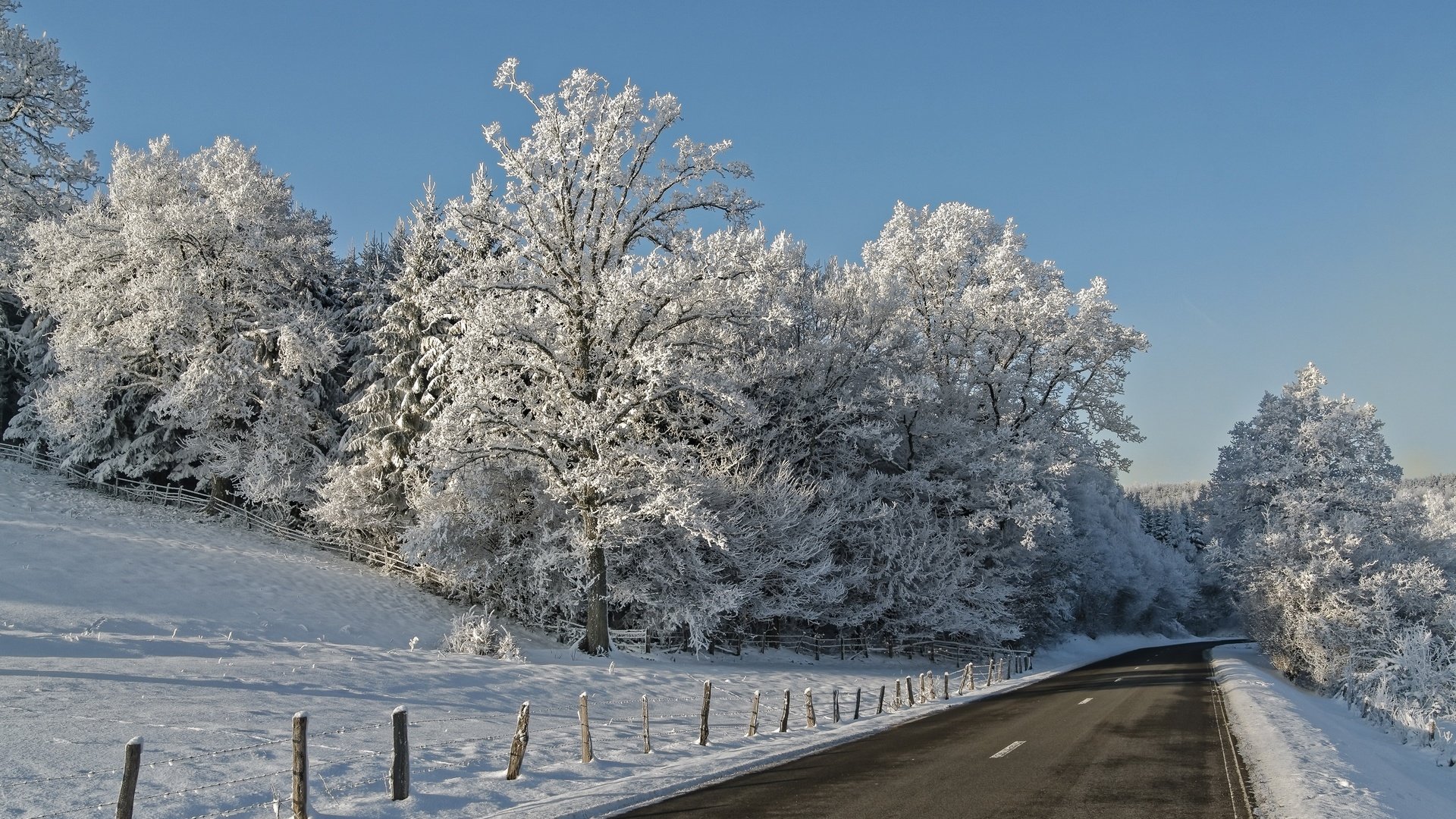 Обои небо, дорога, деревья, снег, зима, ветки, иней, the sky, road, trees, snow, winter, branches, frost разрешение 2723x1751 Загрузить