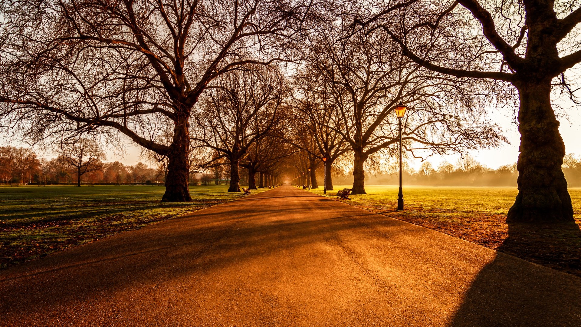 Обои восход, лондон, battersea park, sunrise, london разрешение 5978x3720 Загрузить