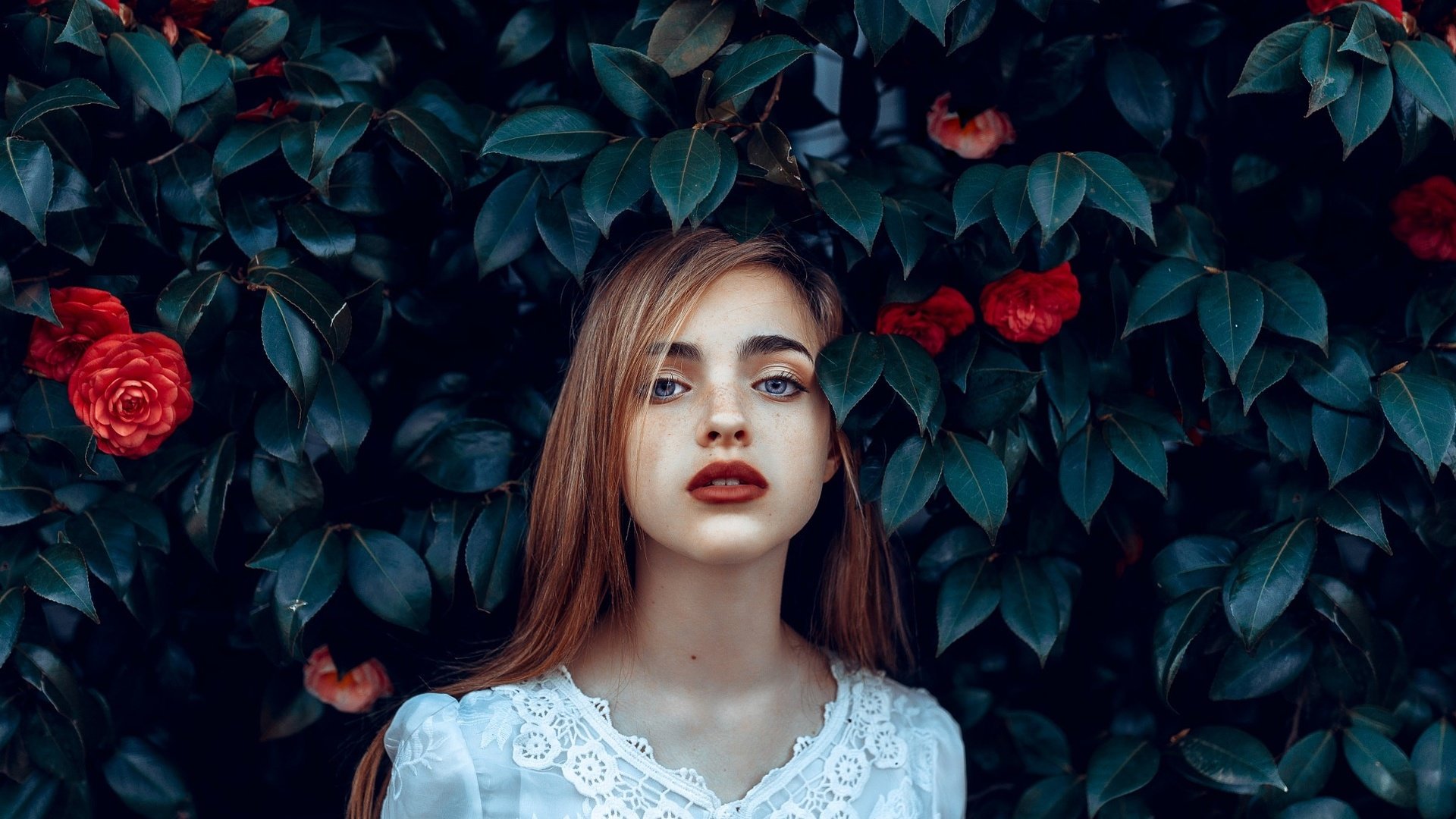 Обои цветы, девушка, портрет, розы, лицо, веснушки, flowers, girl, portrait, roses, face, freckles разрешение 2048x1529 Загрузить