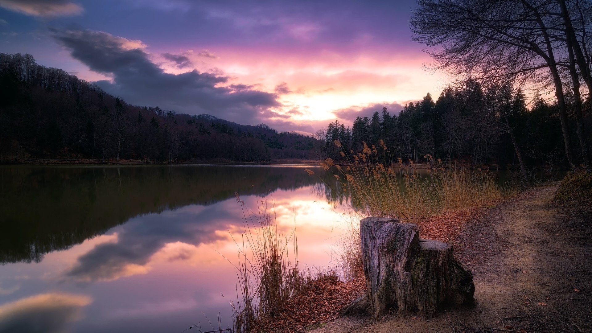 Обои деревья, озеро, закат, пень, trees, lake, sunset, stump разрешение 2000x1235 Загрузить