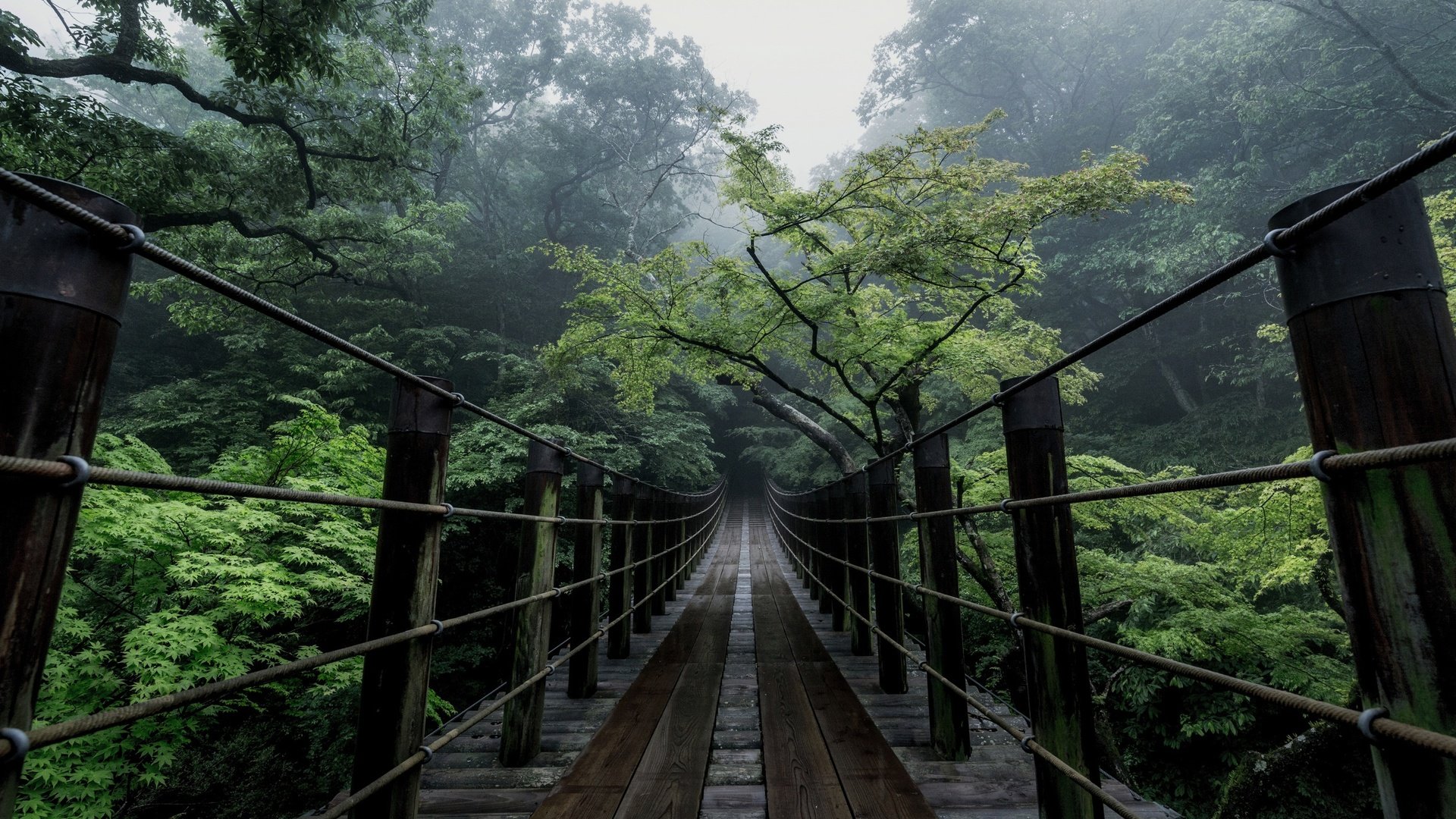 Обои деревья, природа, мост, япония, дымка, trees, nature, bridge, japan, haze разрешение 2500x1667 Загрузить