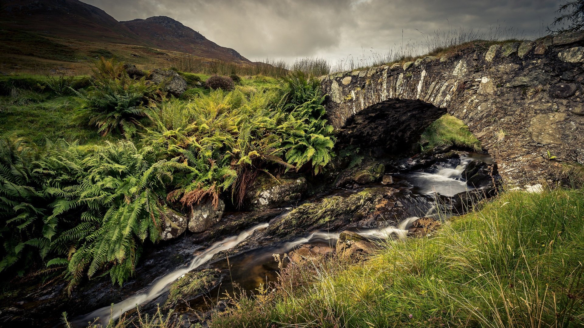 Обои трава, горы, камни, ручей, мост, папоротник, каменный мост, grass, mountains, stones, stream, bridge, fern, stone bridge разрешение 2048x1248 Загрузить