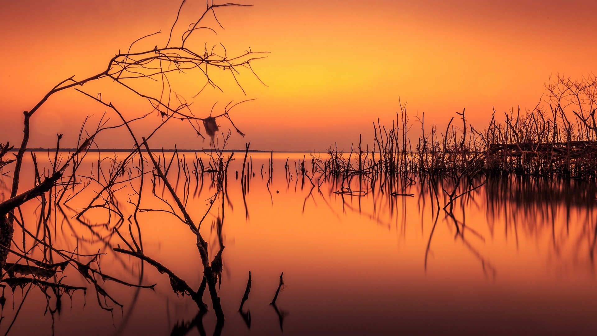 Обои озеро, ветки, силуэты, зарево, lake, branches, silhouettes, glow разрешение 2048x1268 Загрузить