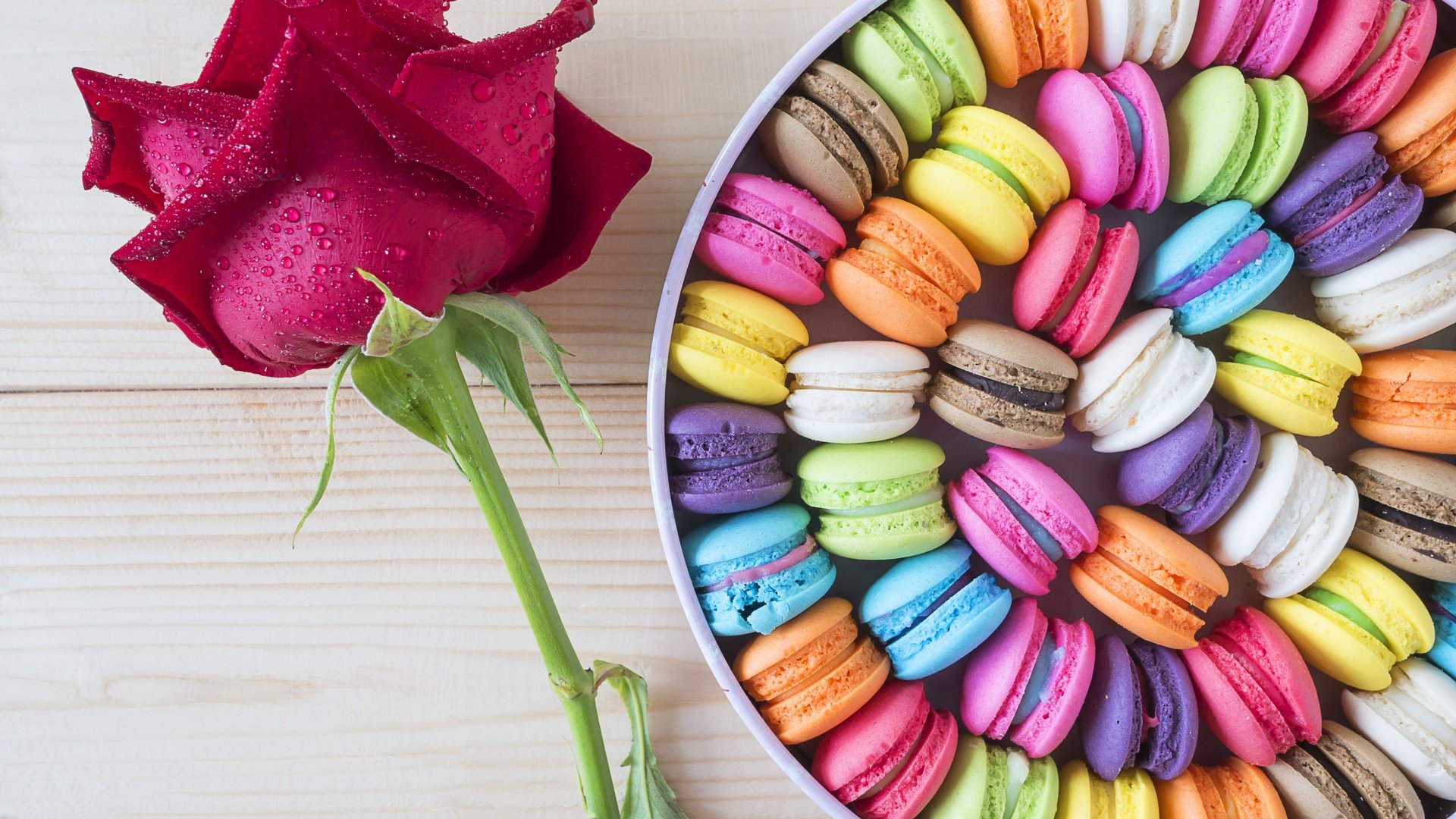 Обои цветок, роза, окрас, коробка, печенье, макарун, flower, rose, color, box, cookies, macaron разрешение 4592x3448 Загрузить