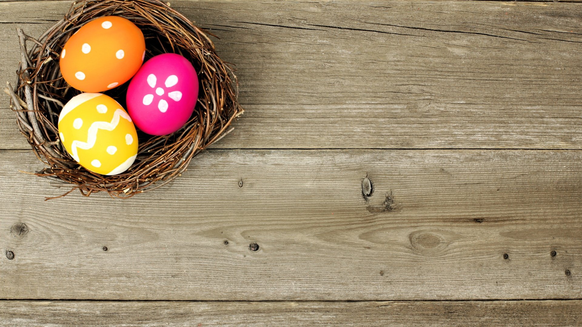 Обои весна, пасха, яйца, праздник, гнездо, яйца крашеные, spring, easter, eggs, holiday, socket, the painted eggs разрешение 4589x3019 Загрузить