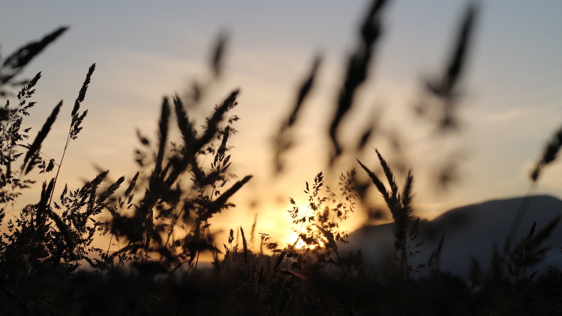 Обои небо, трава, природа, поле, колоски, силуэт, сумерки, matt milton, the sky, grass, nature, field, spikelets, silhouette, twilight разрешение 3648x2432 Загрузить