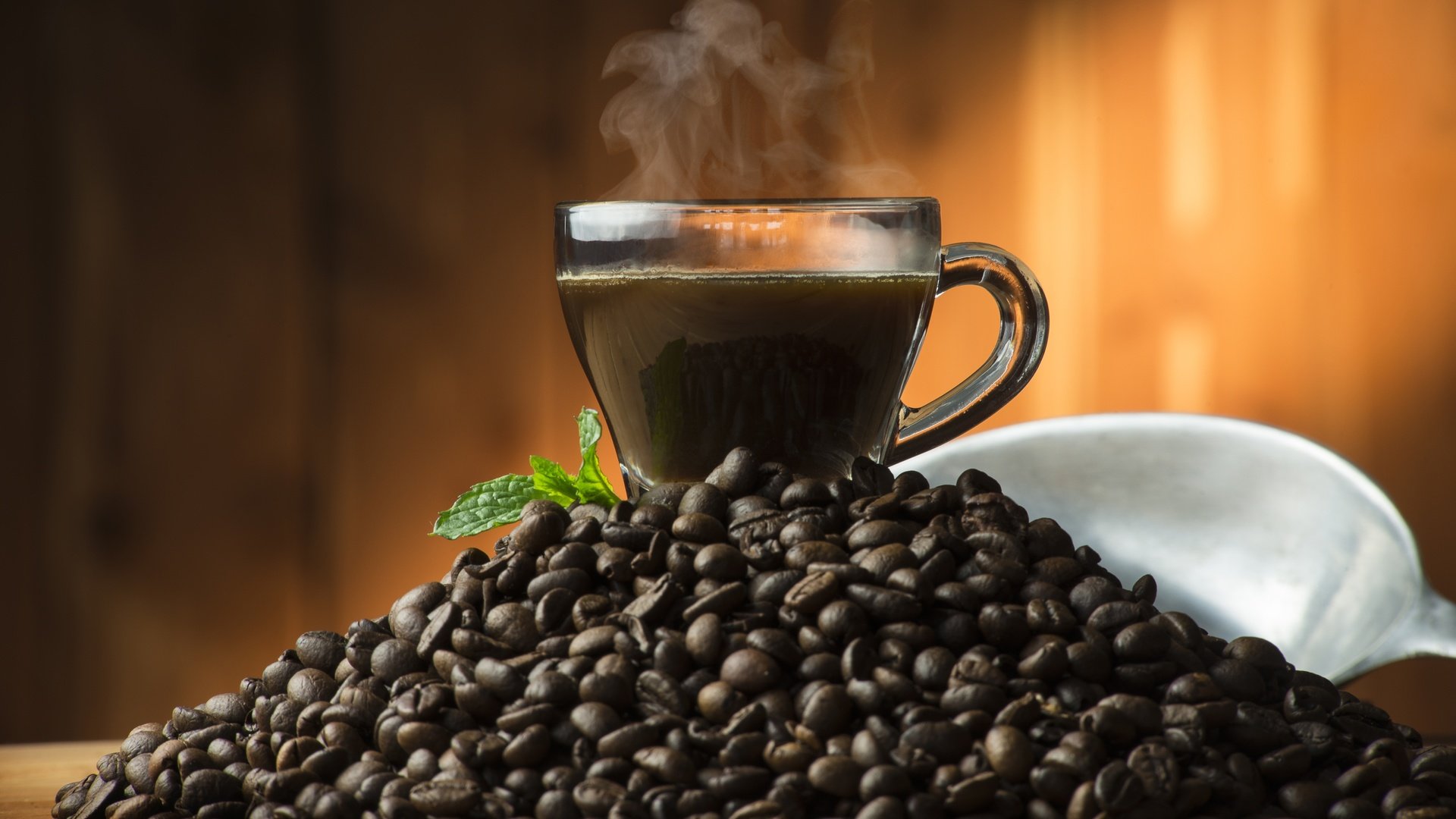 Обои мята, зерна, кофе, чашка, кофейные зерна, mint, grain, coffee, cup, coffee beans разрешение 7360x4912 Загрузить