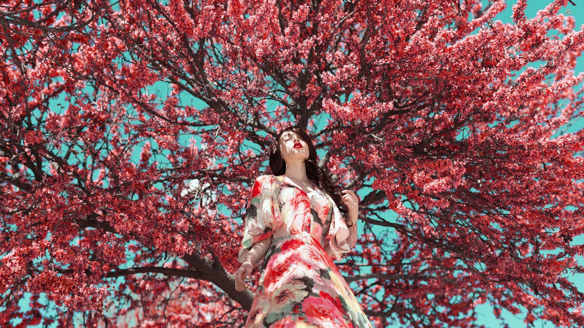 Обои дерево, цветение, девушка, платье, модель, весна, лицо, tree, flowering, girl, dress, model, spring, face разрешение 2048x1365 Загрузить