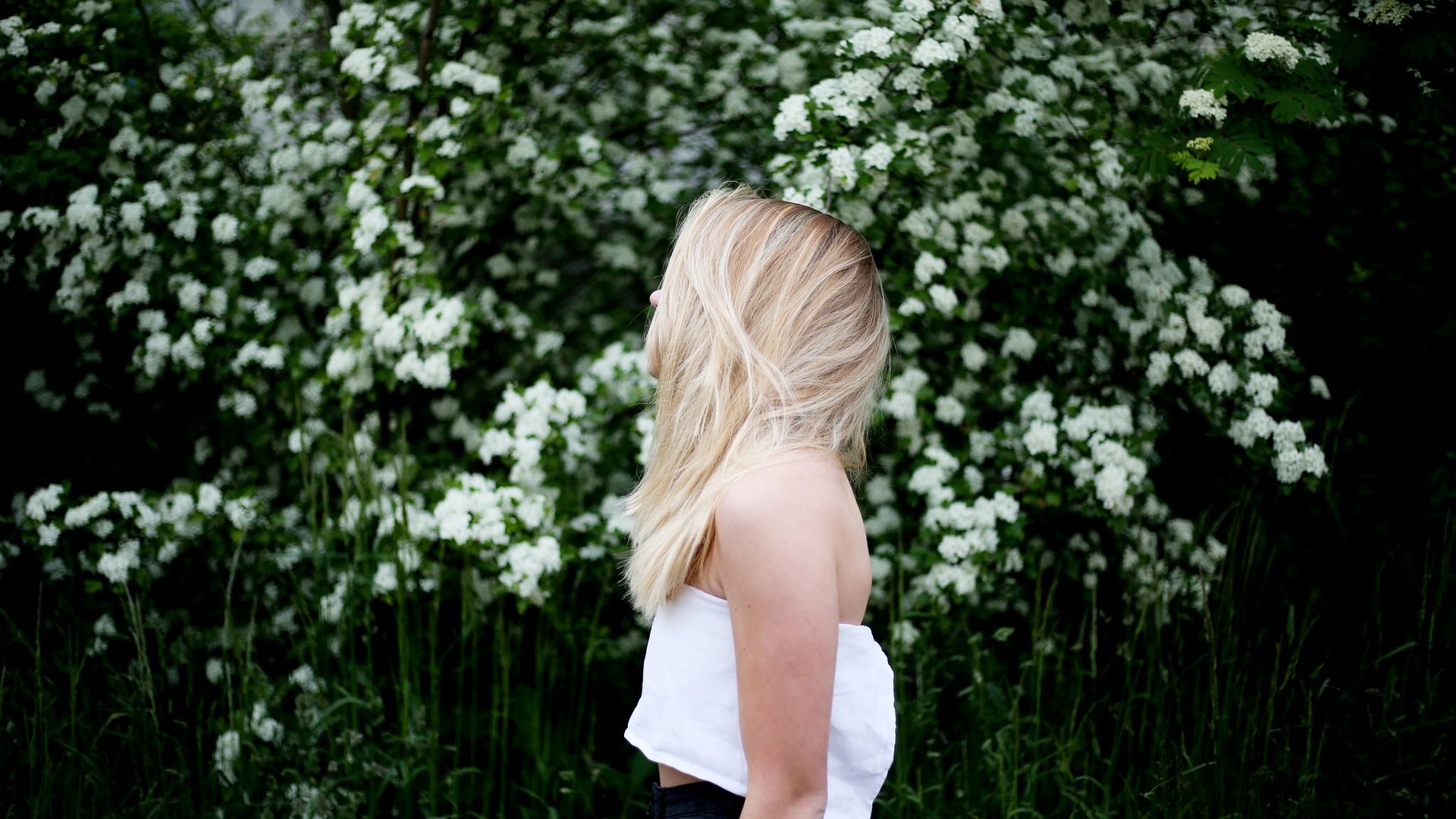 Обои цветы, девушка, блондинка, профиль, белые, flowers, girl, blonde, profile, white разрешение 2048x1366 Загрузить