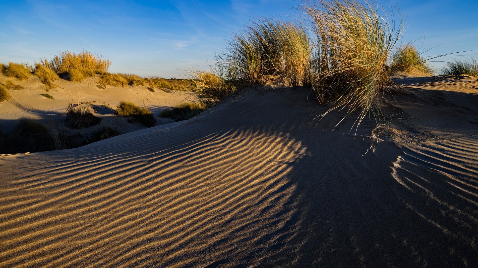 Обои трава, песок, франция, дюны, ле гро-дю-руа, grass, sand, france, dunes, le grau-du-roi разрешение 2048x1367 Загрузить