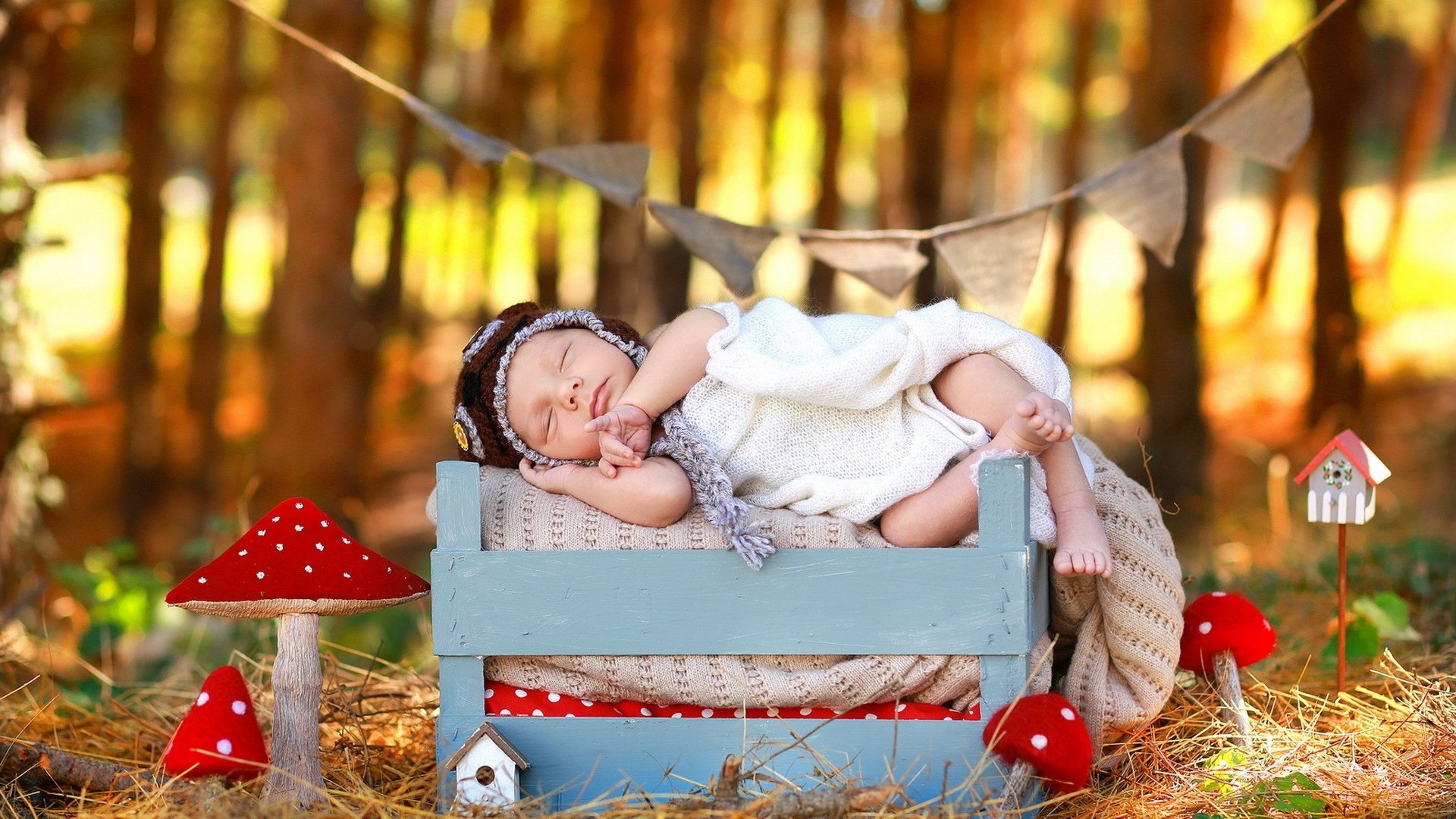 Обои природа, осень, сон, дети, ребенок, младенец, мухомор, ящик, nature, autumn, sleep, children, child, baby, mushroom, box разрешение 1920x1200 Загрузить