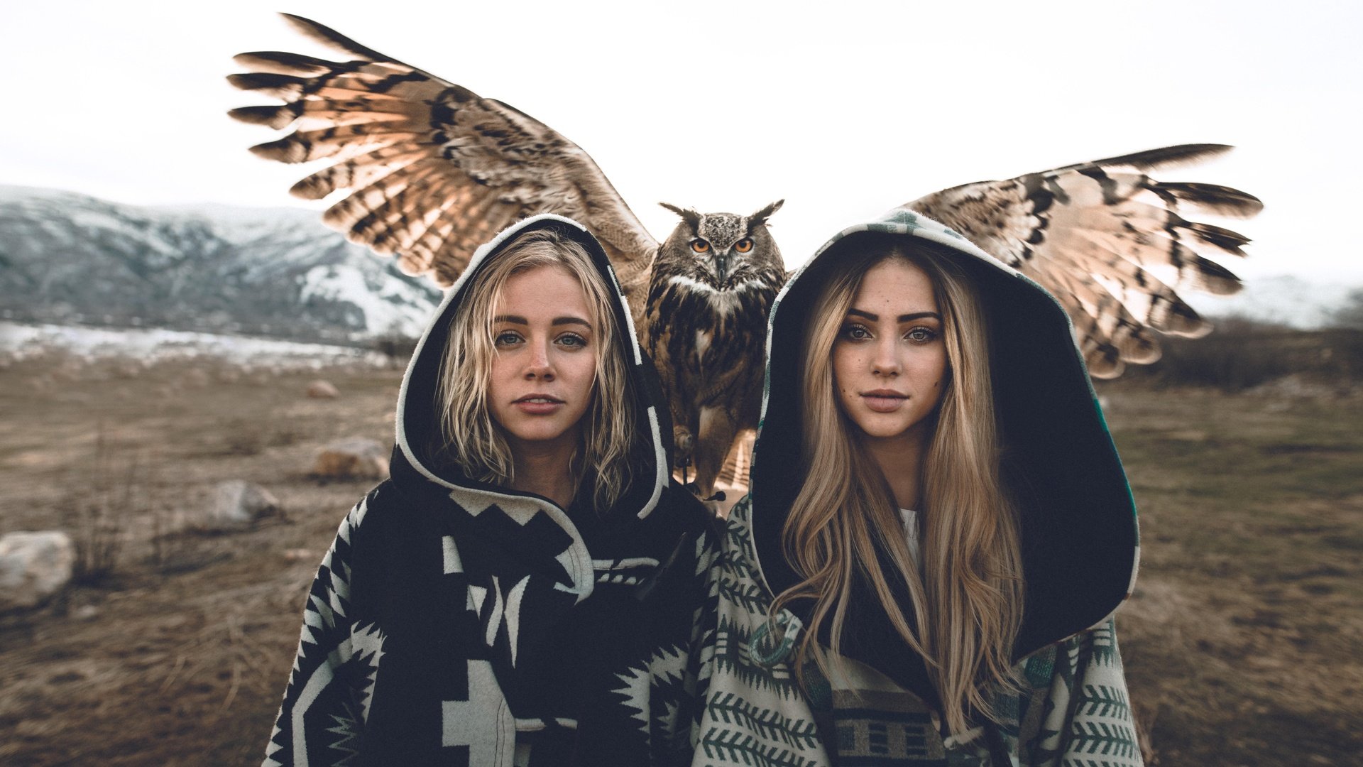 Обои сова, взгляд, девушки, птица, волосы, модели, блондинки, owl, look, girls, bird, hair, model, blonde разрешение 7952x5304 Загрузить
