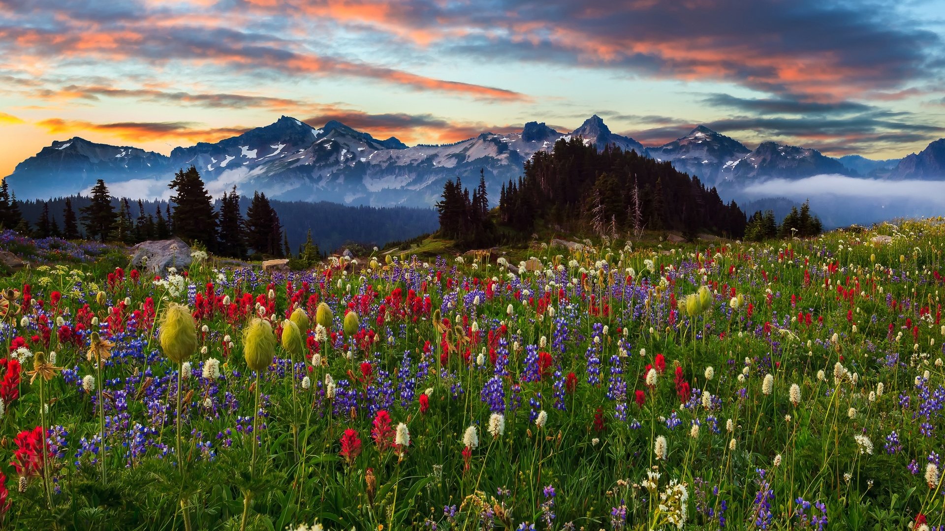 Обои небо, цветы, облака, деревья, горы, природа, закат, пейзаж, the sky, flowers, clouds, trees, mountains, nature, sunset, landscape разрешение 4501x2885 Загрузить