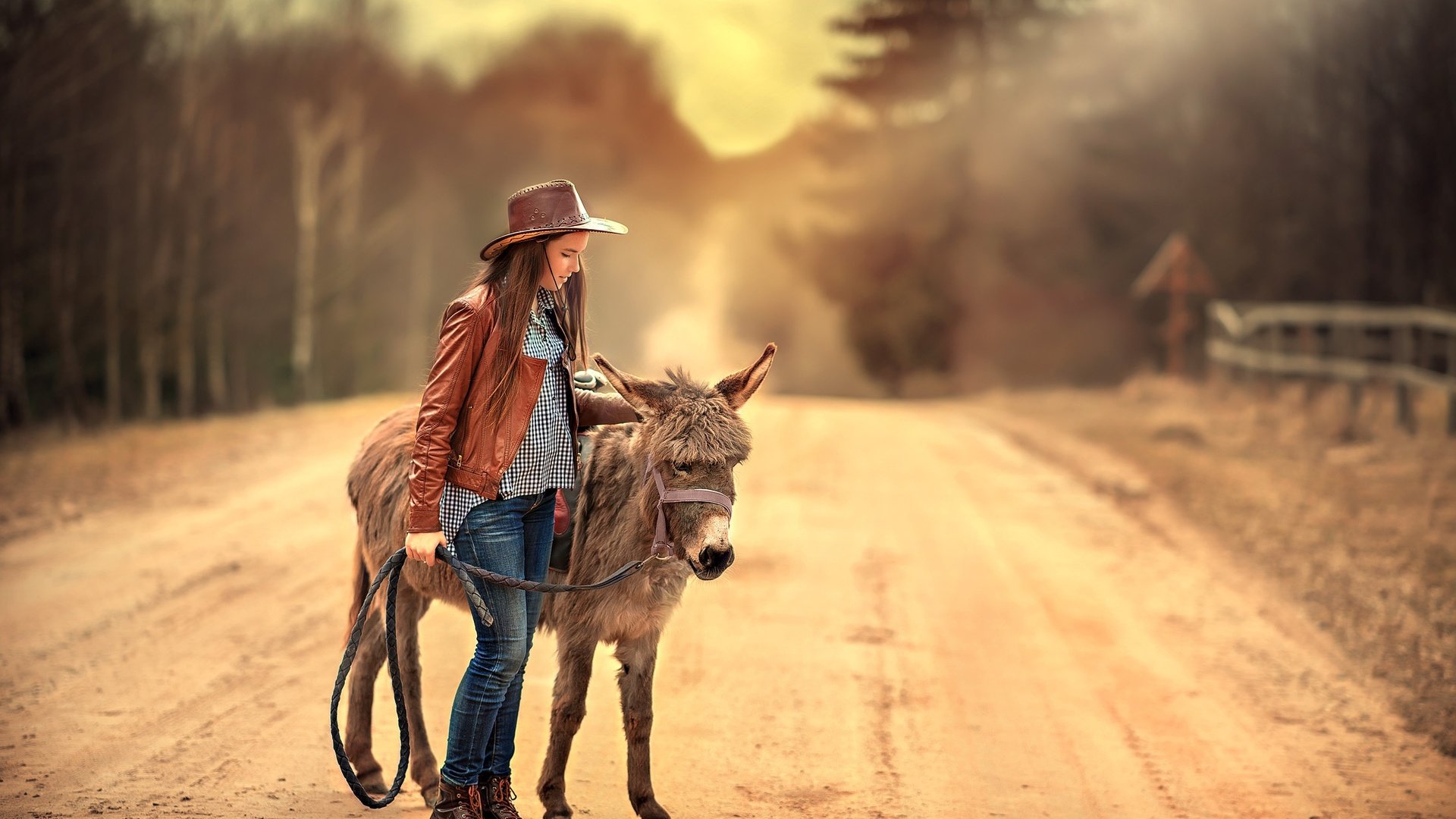 Обои дорога, девушка, джинсы, волосы, шляпа, кожанка, ослик, road, girl, jeans, hair, hat, kozhanka, donkey разрешение 2200x1469 Загрузить