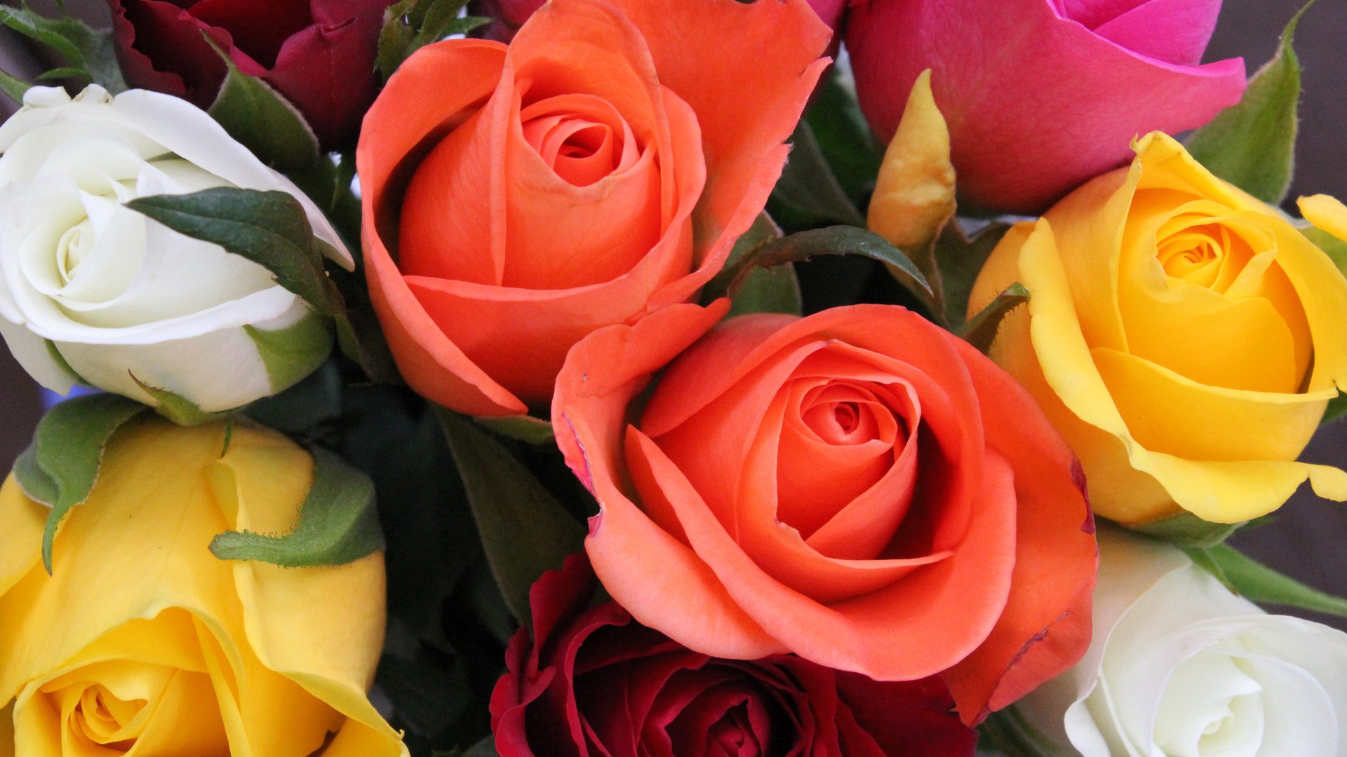 Обои цветы, розы, букет, флора, flowers, roses, bouquet, flora разрешение 2048x1365 Загрузить