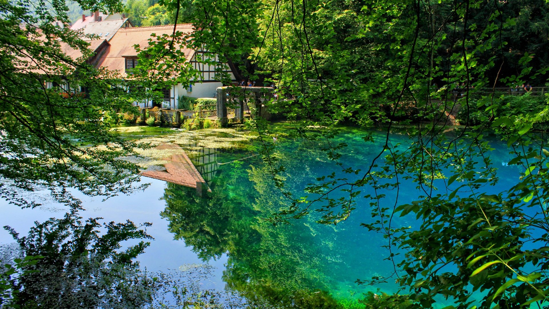 Обои деревья, отражение, ветки, сад, пруд, trees, reflection, branches, garden, pond разрешение 3750x2500 Загрузить