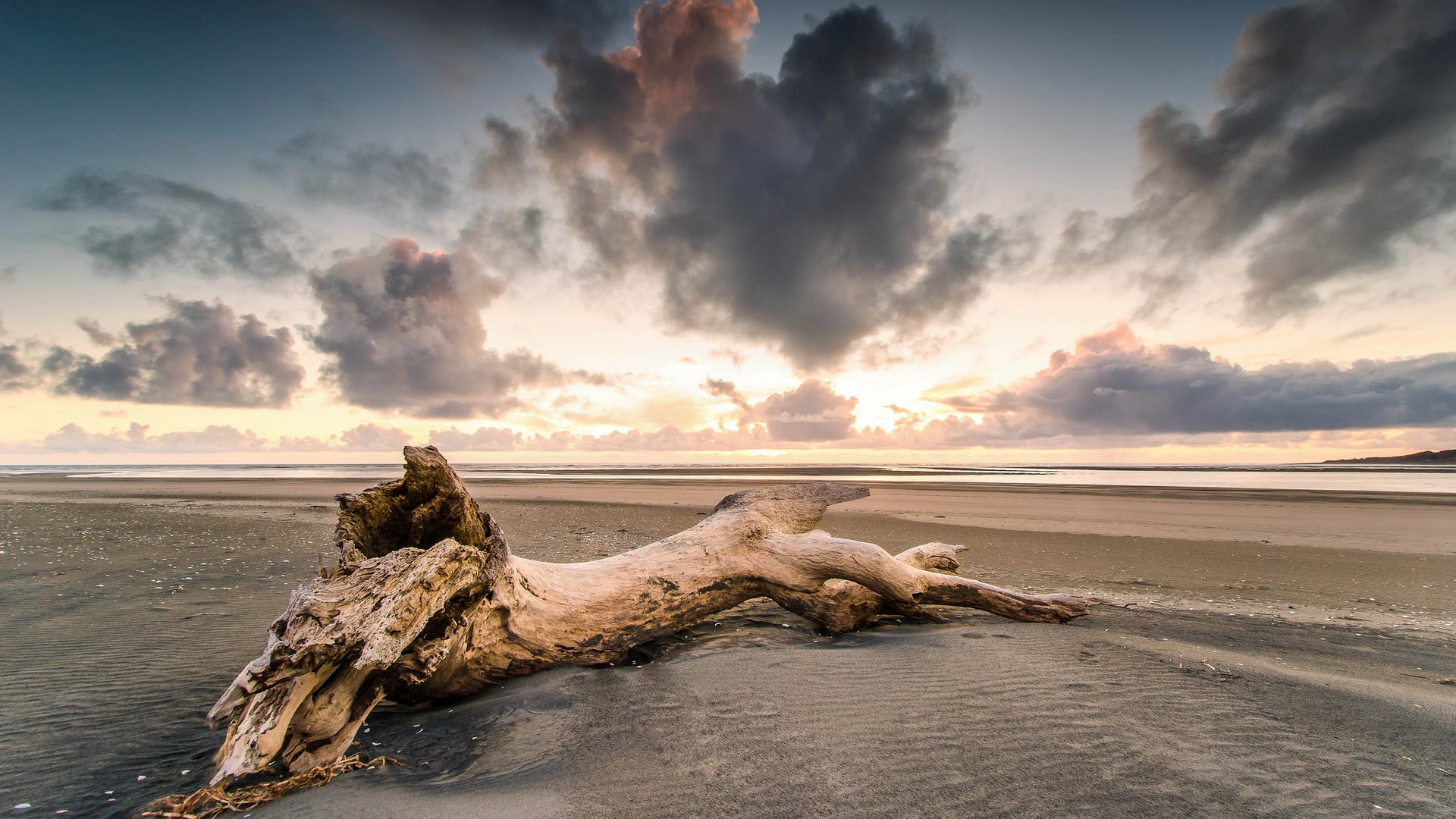 Обои дерево, берег, закат, песок, пляж, tree, shore, sunset, sand, beach разрешение 2048x1357 Загрузить