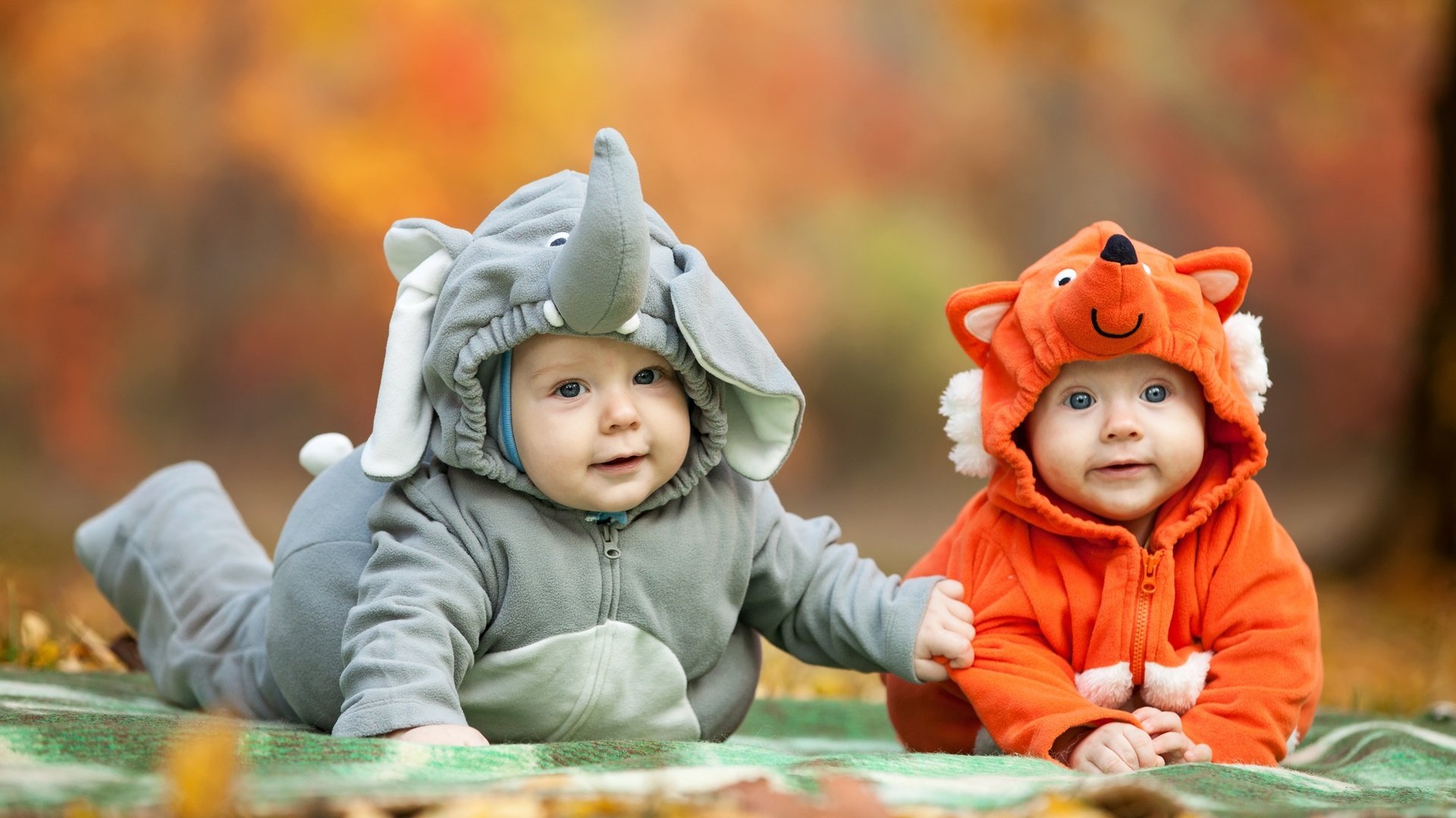 Обои дети, костюмы, слоник, лисичка, позитив, младенцы, children, costumes, elephant, fox, positive, babies разрешение 2560x1600 Загрузить