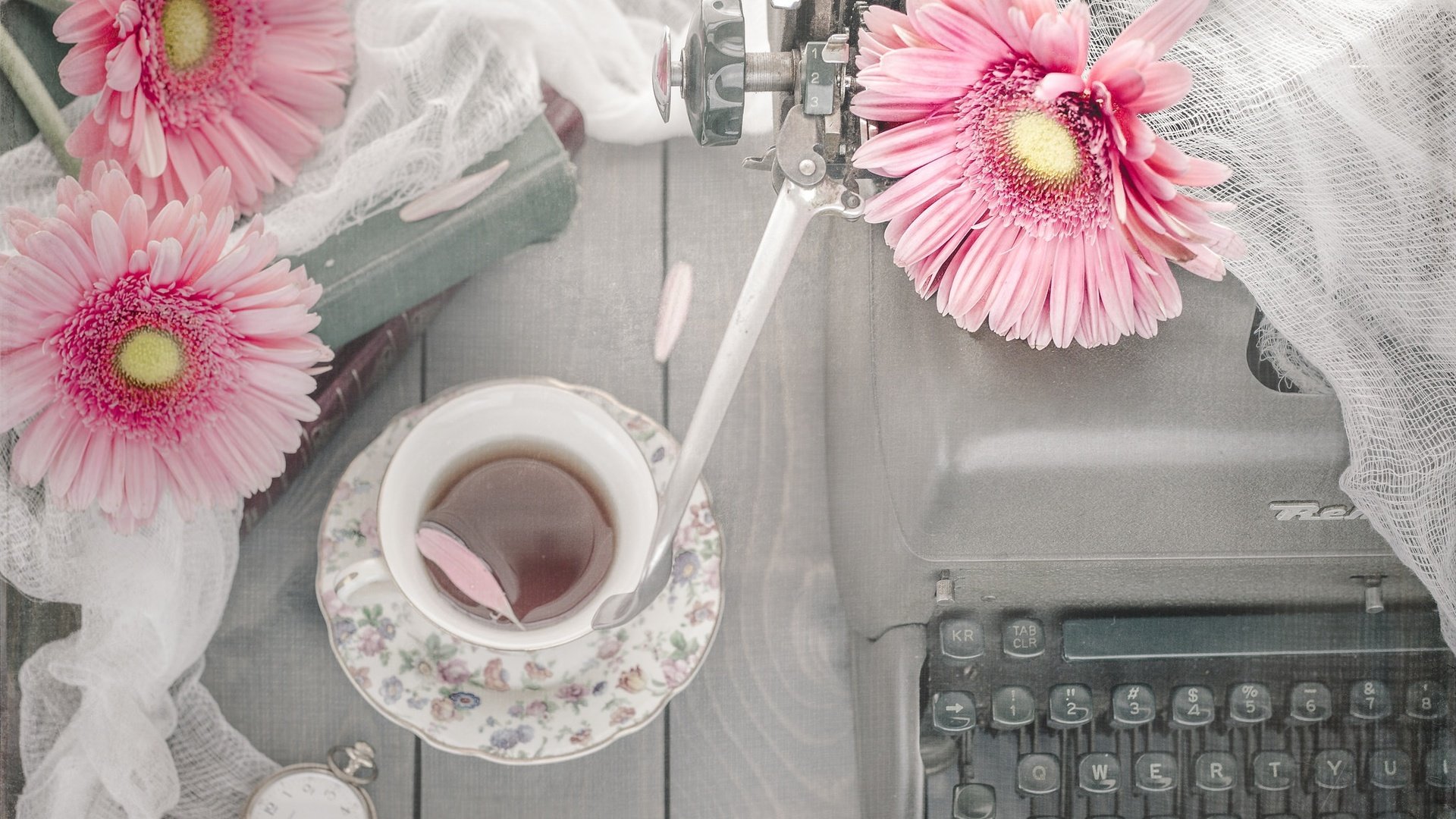 Обои цветы, лепестки, часы, чай, герберы, книга, печатная машинка, flowers, petals, watch, tea, gerbera, book, typewriter разрешение 2048x1638 Загрузить